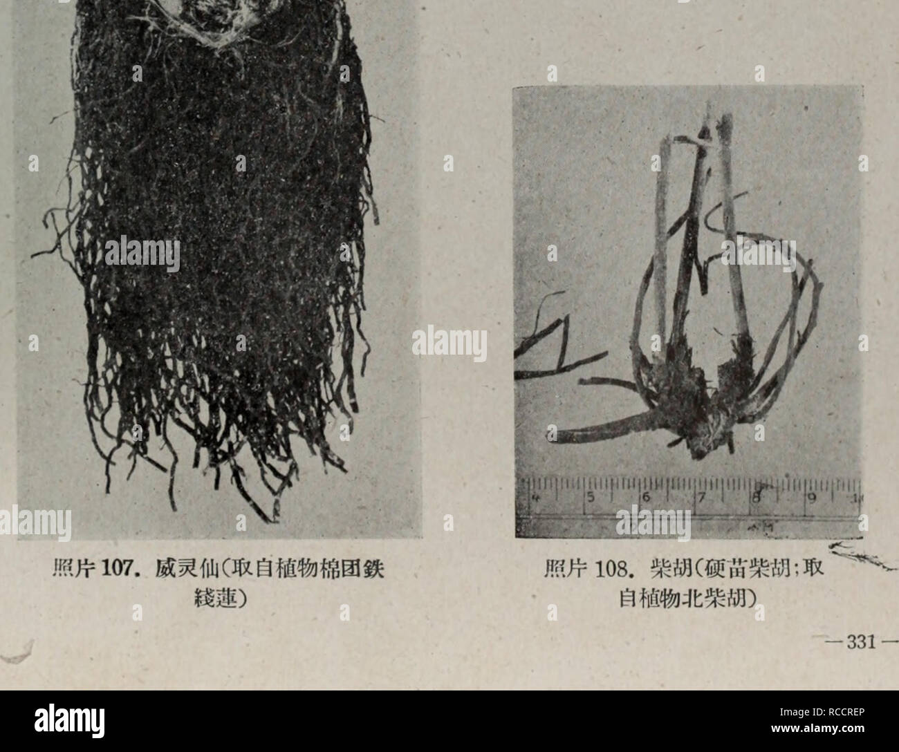 Dong feng Fotos und Bildmaterial in hoher Auflösung Alamy