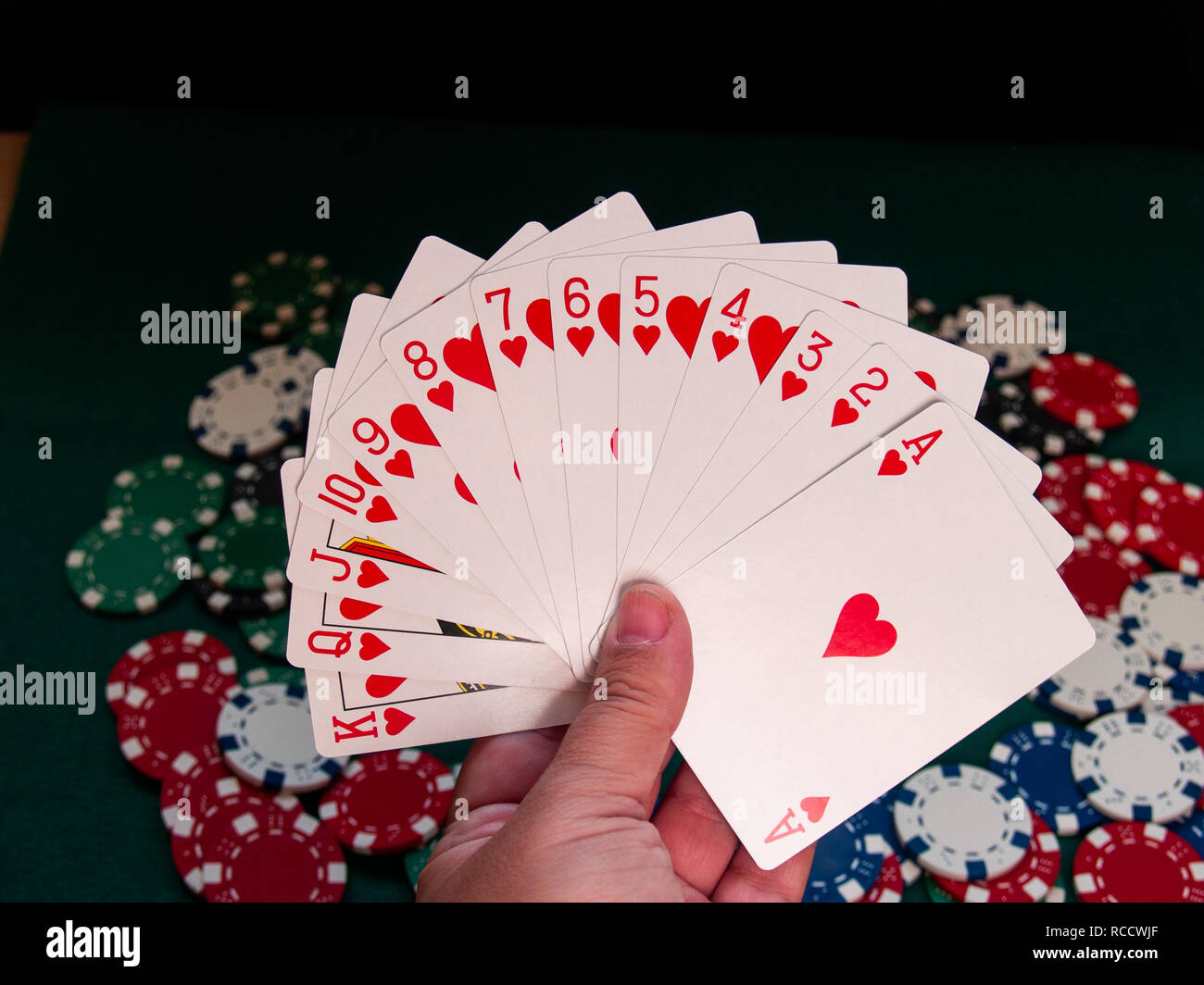 Eine Person spielen Poker mit einem Deck poker Karten in der Hand und poker chips in verschiedenen Farben auf der grünen Matte Stockfoto