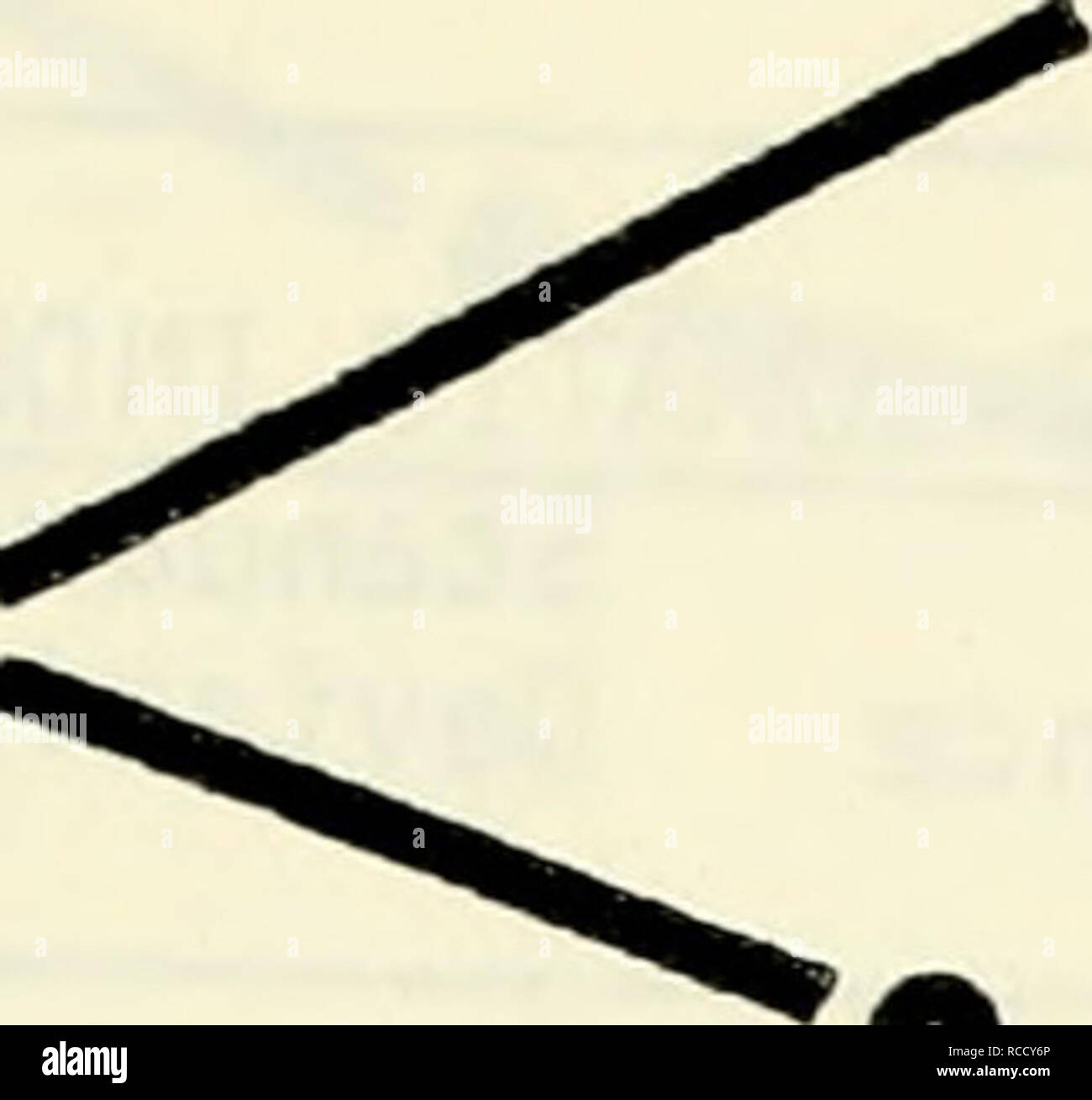 . Verbreitung und Häufigkeit Trends von 22 ausgewählten Arten im mittleren Atlantik Bucht von Grundschleppnetzen Besichtigungen während 1967-1979: Abschlussbericht an den US-Mineral [s] Management Service. Fische-- Mid-Atlantic Golf geographische Verteilung; Fischpopulationen - Mid-Atlantic Bucht. 1 z 3 -3> - &Lt;2 IB K sS •: o*-cc &Lt;5 03 UJ u z O z. / - O O 0. UJ 03 o D-3 1 - Viva - Viva - Viva - Viva auf - o o o U3: o o o CO o in CN O" D O v CM uj o o o o m 1/1 3cr e ai' a fi • O kf) T3f^3 en0) i/l a. Bei c 0) r-â"¢^ (- 2 Is C â" 3s BJ. o • •.-Cj a â a-* c s Stockfoto