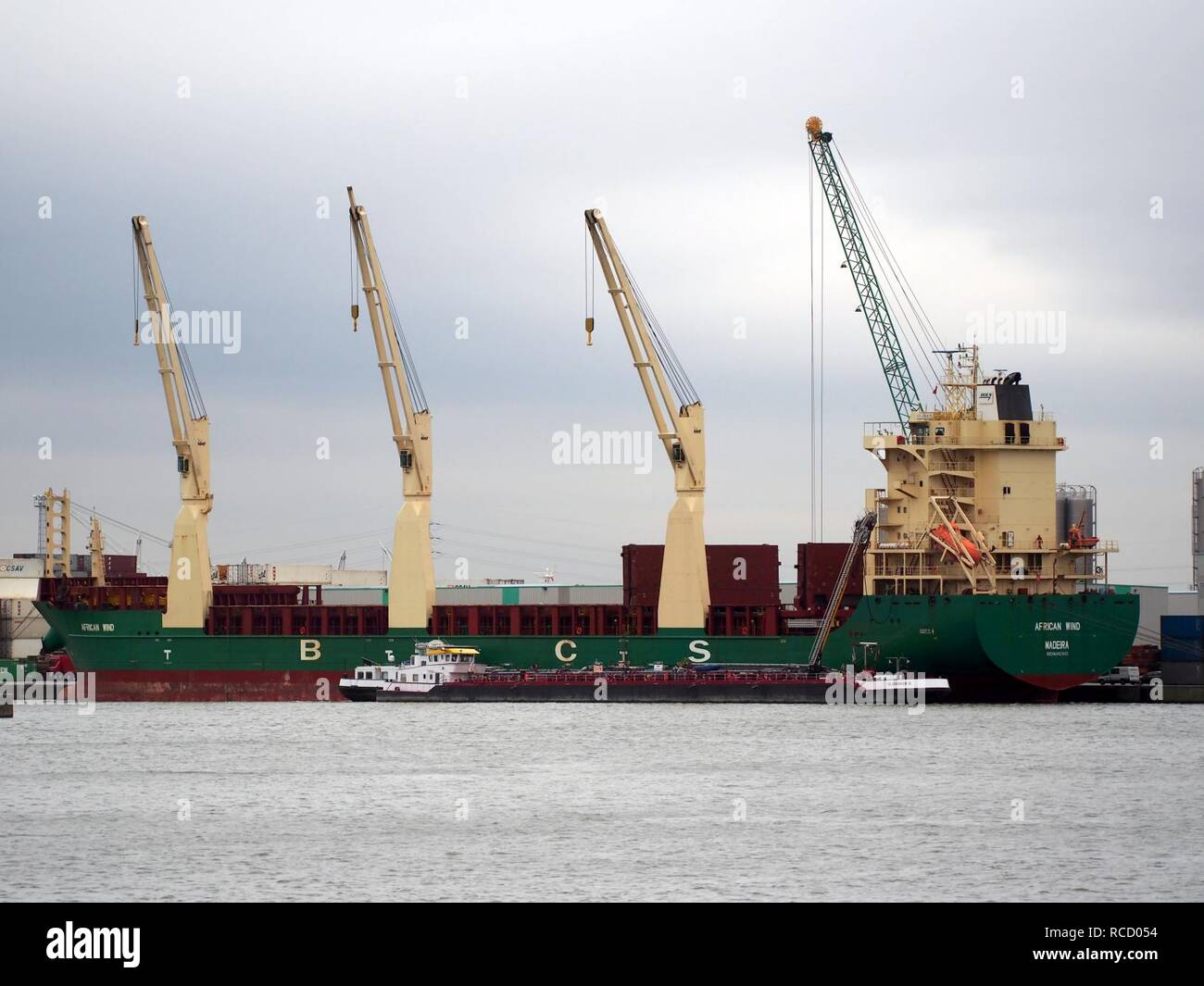 Afrikanische Wind (Schiff, 2010), IMO 9423633, der Hafen von Antwerpen. Stockfoto