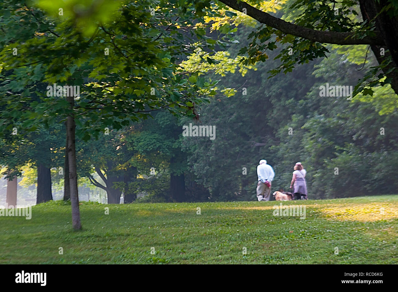 Zwei Senioren, eine männliche und eine weibliche, mit ihren Hunden in einem üppigen, grünen Park, Ontario, Kanada Stockfoto