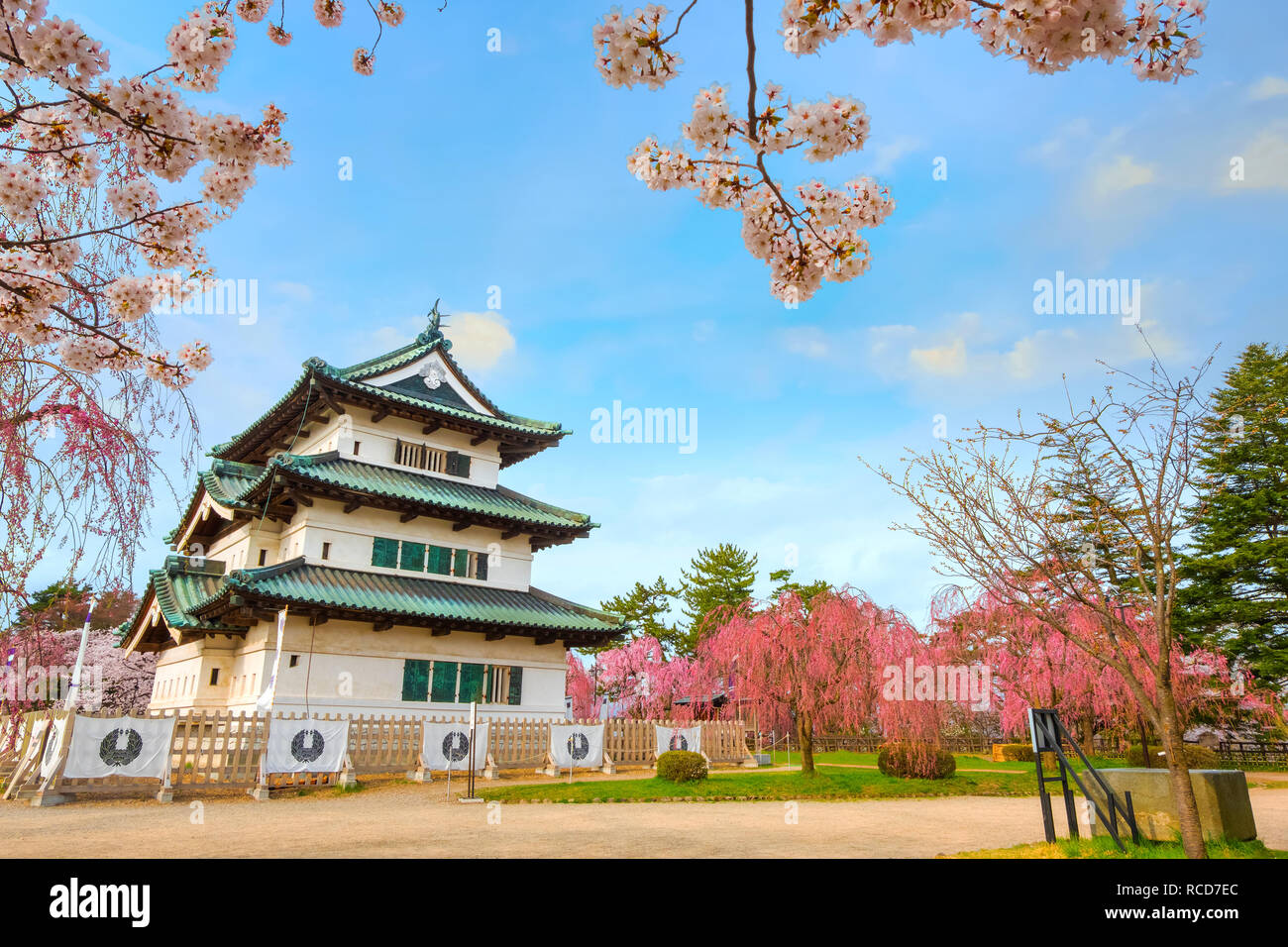 Hirosaki, Japan - 23 April 2018: Sakura - Cherry Blossom Blüte in Hirosaki Burg Hirosaki Park, einer der schönsten sakura Punkt in der Toho Stockfoto