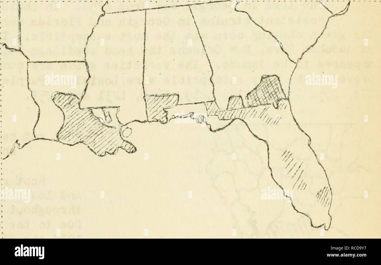 . Krankheiten aus Baumwolle, Zuckerrohr, Wald, Bäume, Zierpflanzen und verschiedene Pflanzen in den Vereinigten Staaten im Jahre 1919. Fibre Pflanzen Krankheiten und Schädlinge United States; Zucker Pflanzen Krankheiten und Schädlinge United States; Bäume Krankheiten und Schädlinge United States; Pflanzen, Zierpflanzen Krankheiten und Schädlinge in den Vereinigten Staaten. 284: I: o. Von: Jo. von Bundesland: County: Bezirke Stute: Grafschaft Bezirke: Besuchte vi stationiert, Georgien: V/ayne: 1: Louisiana Plaquemines 7 iPierce: 1'^ointe Coupé: 7. Klammern: 1 Kapids 5 St. Charles 10 IV^ issisEippi Harrison 1 St. James 14 Jackson 1 St. Johr der Täufer: 12 Jefferson 1 St. Landry 8. Stockfoto