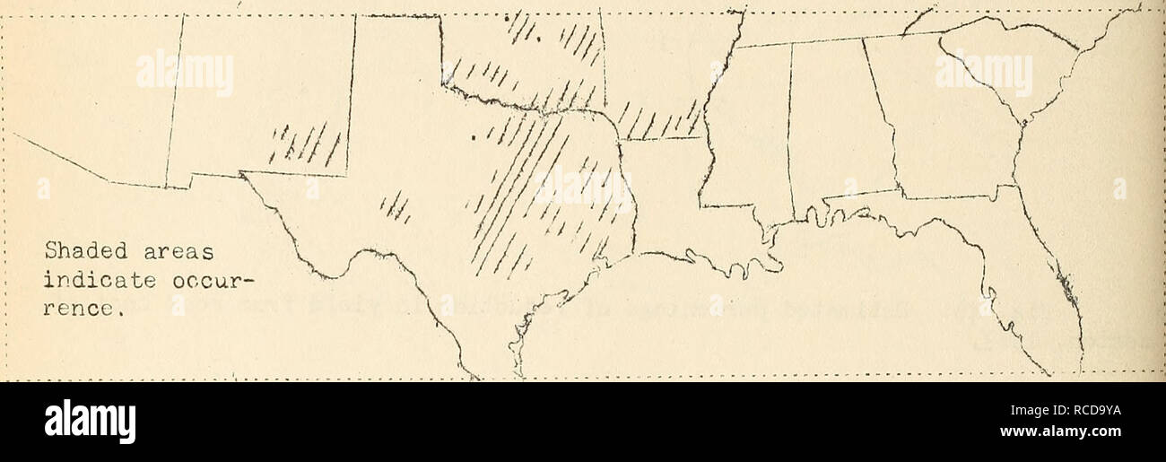 . Krankheiten aus Baumwolle, Zuckerrohr, Wald, Bäume, Zierpflanzen und verschiedene Pflanzen in den Vereinigten Staaten im Jahre 1919. Fibre Pflanzen Krankheiten und Schädlinge United States; Zucker Pflanzen Krankheiten und Schädlinge United States; Bäume Krankheiten und Schädlinge United States; Pflanzen, Zierpflanzen Krankheiten und Schädlinge in den Vereinigten Staaten. 28 l der Art der Boden schien, den Schweregrad und dictritution der Krankheit in Arkansas als deutlich mehr Verletzungen zu beeinflussen auf die verarmten Böden - wie Schiefer Boden gefunden wurde, grob sandigen Böden und den Fluss tottoms - als auf, v/hich die erforderlichen Anlagen die Anforderungen an Lebensmittel enthalten. In Georg Stockfoto