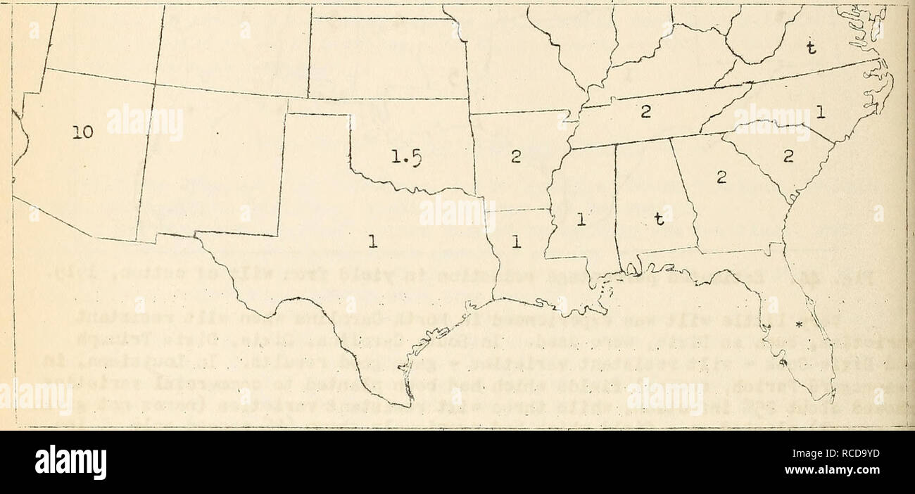 . Krankheiten aus Baumwolle, Zuckerrohr, Wald, Bäume, Zierpflanzen und verschiedene Pflanzen in den Vereinigten Staaten im Jahre 1919. Fibre Pflanzen Krankheiten und Schädlinge United States; Zucker Pflanzen Krankheiten und Schädlinge United States; Bäume Krankheiten und Schädlinge United States; Pflanzen, Zierpflanzen Krankheiten und Schädlinge in den Vereinigten Staaten. 279 In Louisiana Verletzungen lief hoch, obwohl der Verlust am Ende der Saison rund 1 %. In Texas die estimatt ^d verlieren war 1 %. Ii. Oi. lahoma Ti^e Verlust war ca. 1,5% - in Arkansas, der Verlust war um 1,5% - Schwarze arm wurde berichtet bj L.0. V/atson in Baumwolle 65 LKW-Nachrichten Anmerkungen 8. November ICH 919 werden. Stockfoto