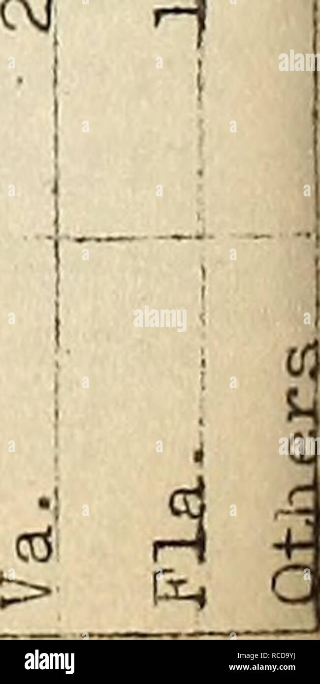 . Krankheiten aus Baumwolle, Zuckerrohr, Wald, Bäume, Zierpflanzen und verschiedene Pflanzen in den Vereinigten Staaten im Jahre 1919. Fibre Pflanzen Krankheiten und Schädlinge United States; Zucker Pflanzen Krankheiten und Schädlinge United States; Bäume Krankheiten und Schädlinge United States; Pflanzen, Zierpflanzen Krankheiten und Schädlinge in den Vereinigten Staaten. O;. Bitte beachten Sie, dass diese Bilder sind von der gescannten Seite Bilder, die digital für die Lesbarkeit verbessert haben mögen - Färbung und Aussehen dieser Abbildungen können nicht perfekt dem Original ähneln. extrahiert. Martin, G. Hamilton; in den Vereinigten Staaten. Pflanzenkrankheiten Umfrage. [Washington, D. Stockfoto