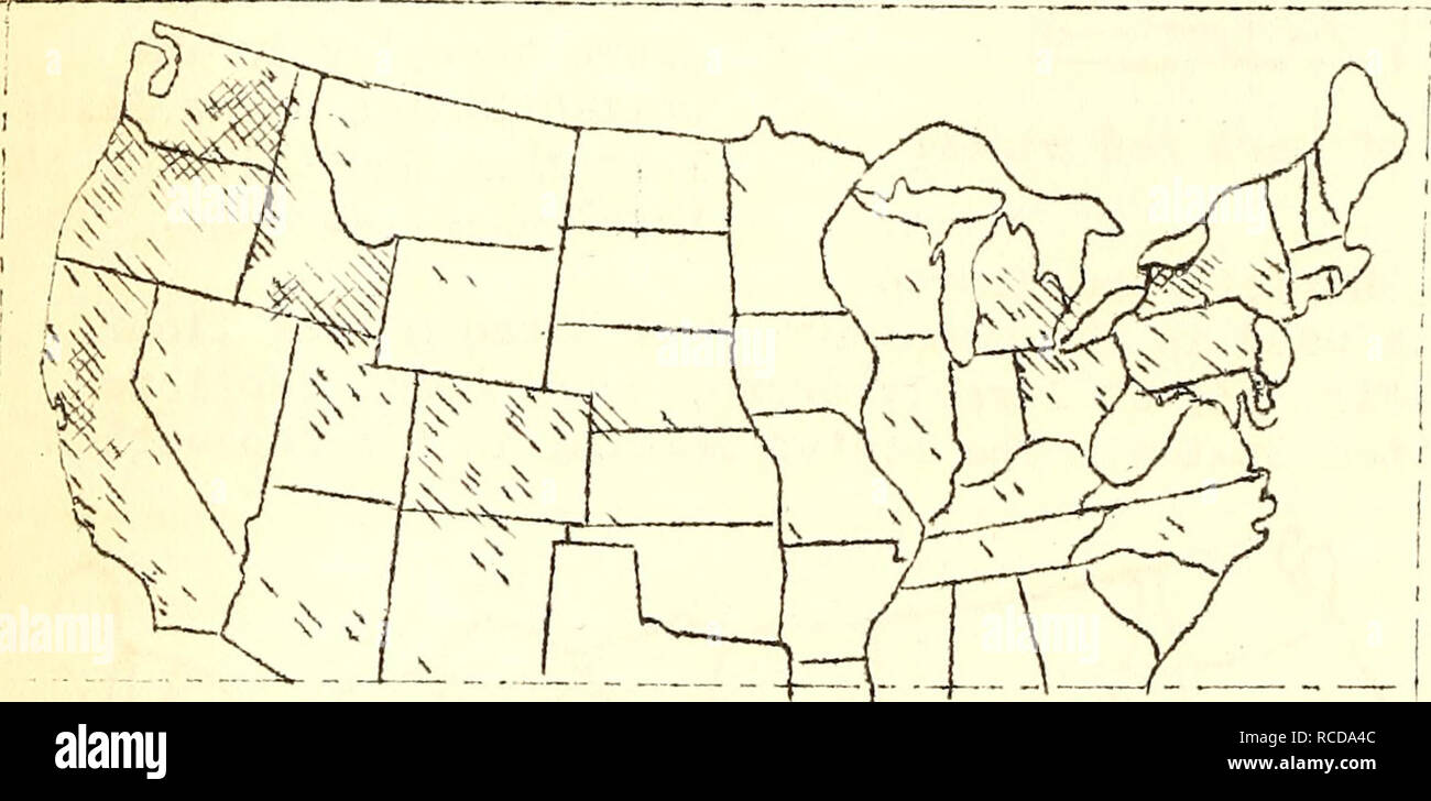 . Krankheiten von Getreide und Futterpflanzen in den Vereinigten Staaten im Jahr 1921. Korn Krankheiten und Schädlinge United States; Futterpflanzen Krankheiten und Schädlinge in den Vereinigten Staaten. ComT. Auf v/hlte Weizen (Abb. 35) ist grovm sowohl in der östlichen und westlichen Teilen der Vereinigten Staaten. Es ist die führende Klasse von Weizen in v'/Ashington, Kalifornien, Oregon und Idaho, Ard ist auch wichtig in New York und Michigsn. In diesen Staaten ist es in der Regel outyields der anderen Klassen von v/Hitze. Über drei Millionen Hektar cornnon Weiß v/Wärme sind grovm jährlich in den Vereinigten Staaten-'t umfasst somev/hat mehr als fünf Prozent der gesamten ci Stockfoto