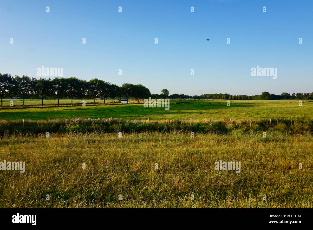 Provinz Utrecht, Niederlande. Landschaft der niederländischen grünen Ackerland, mit einem blauen Himmel, in der Nähe der Dämmerung. In der Nähe von Bunschoten-Spakenburg. WW2 Bunker Stockfoto