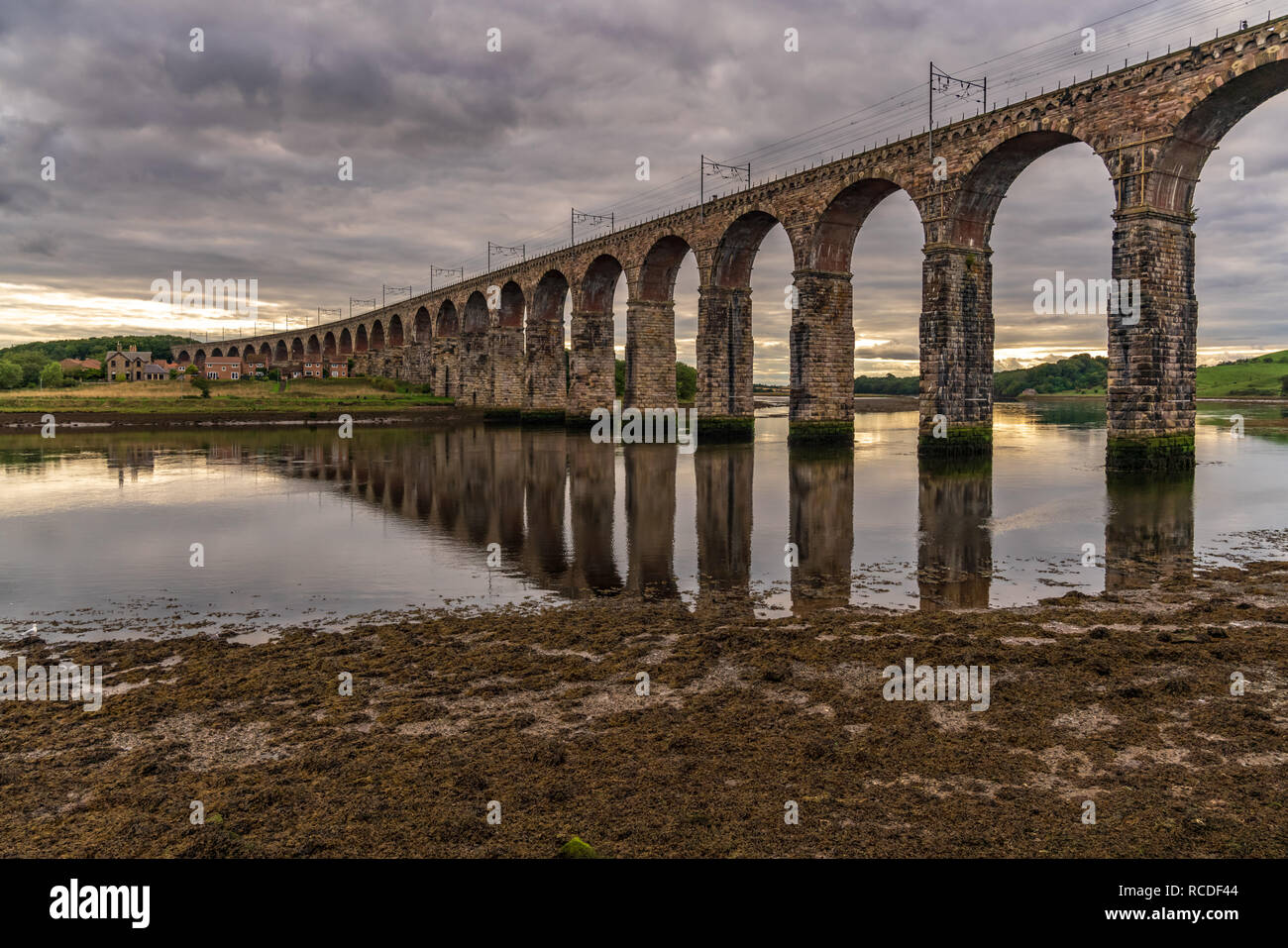 Royal Grenze Brücke über den Fluss Tweed in Berwick-upon-Tweed, Northumberland, England, Großbritannien Stockfoto