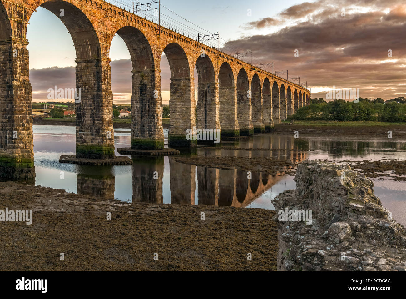 Royal Grenze Brücke über den Fluss Tweed in Berwick-upon-Tweed, Northumberland, England, Großbritannien Stockfoto