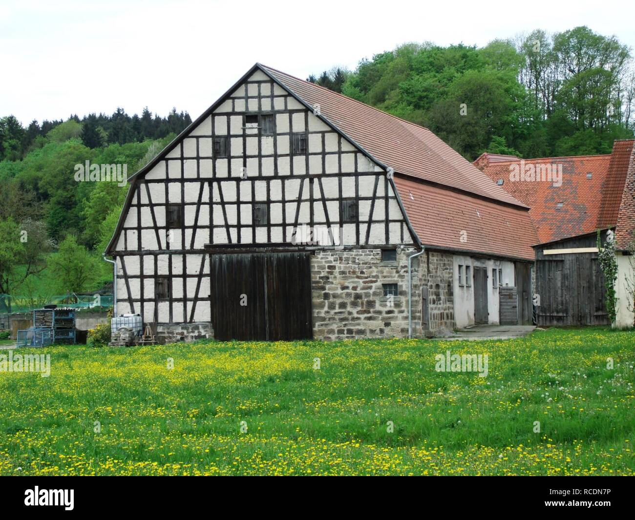 Aidenau 2015-05-06 (9). Stockfoto