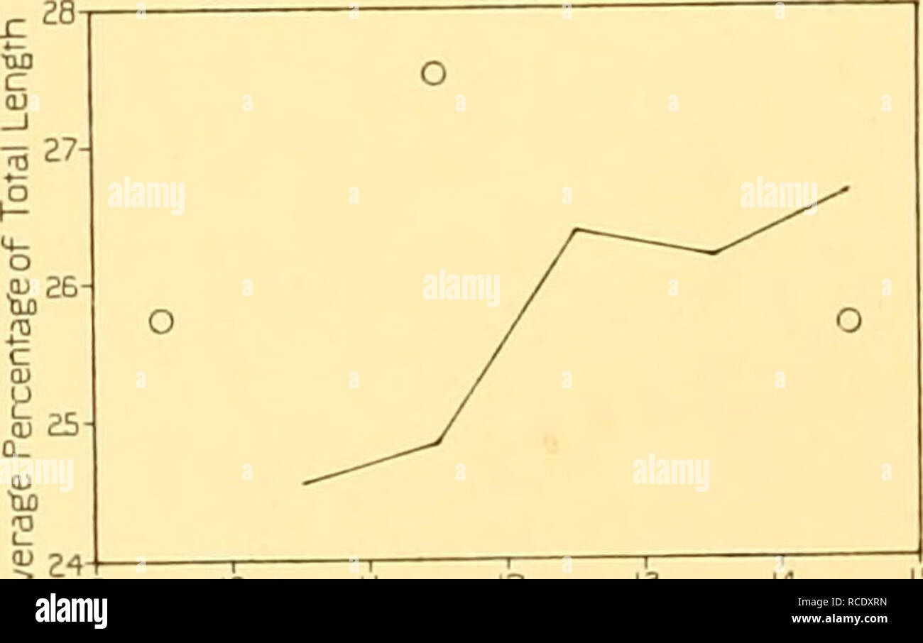 . Entdeckung berichten. Discovery (Schiff); Wissenschaftliche Expeditionen; Ocean; Antarktis; Falkland Inseln. lb II 12 13 Länge der Wal in m Abb. 5. Männliche Buckelwale. Messung Nr. 5. Spitze der Schnauze auf die Mitte des Auges. 10 II 12 13 14 1 = Länge der Wal in m Abb. 6. Weibliche Buckelwale. Messung Nr. 5. Spitze der Schnauze auf die Mitte des Auges. Si 33 - OI32 Q T • E 35 10 II 12 13 Länge der Wal in m Abb. 7. Männliche Buckelwale. Messung Nr. 8. Kerbe der Egel nach posterior Einkerbung der Rückenflosse. Bitte beachten Sie, dass diese Bilder aus gescannten Seite Bilder, die Uhr können extrahiert werden Stockfoto