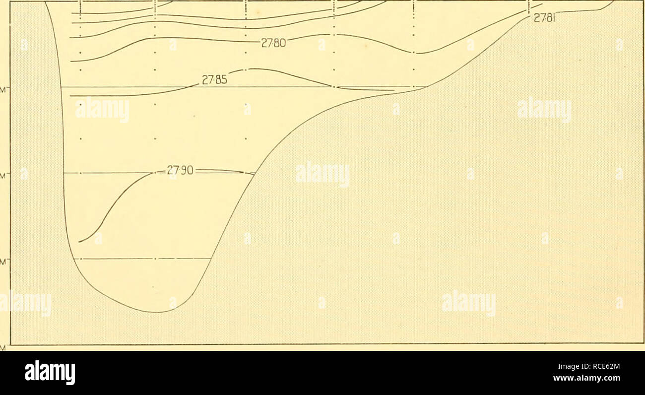 . Entdeckung berichten. Discovery (Schiff); Wissenschaftliche Expeditionen; Ocean; Antarktis; Falkland Inseln. 2000 m-Abb. 46. Vertikale Abschnitt der Temperatur: C Melville, King George Island, dem Trinity Halbinsel, Dezember 1930. STATION 542. 543 544 C. MELVILLE, King George ich. 2750 545 546 2760 2770 2776 547 2779 TRINITY PENIN * 500i 1000 m - 1500 2000. Abb. 47. Abschnitt "vertikale Dichte (ct (): C. Melville, King George Island, dem Trinity Halbinsel, Dezember 1930. vorhanden. Das warme Wasser hat seinen größten Einfluss an Str. 542, wo eine maximale Temperatur von o vermitteln - oo°C. ist mit 300 m gefunden. Keine Stockfoto