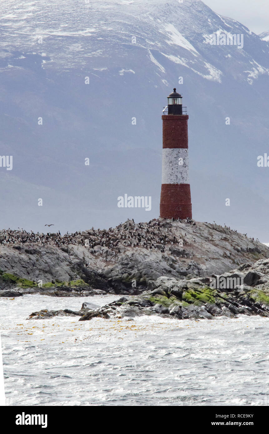 'Les éclaireurs 'Leuchtturm in den Beagle Kanal in Ushuaia, häufig für den Leuchtturm am Ende der Welt verwechselt, beherbergt eine Kolonie der Kormorane Stockfoto