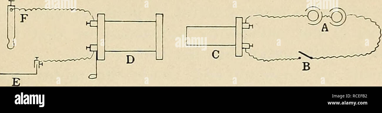 . Richtungen für die Arbeit im Labor in der Physiologie für die medizinische Verwendung von Studenten. Physiologie. MOTOR WEIST AUF DEN ARM. Apparat. - Zwei trockenen Zellen und ein Schlüssel zu den primären Spule von einer Induktion Apparate anschließen; anschließen und ein großes Kupfer Platte (die indifferente Elektrode), die weniger effi-ziente Pol der sekundären Spule und eine kleine Messing Elektrode (die aktive Elektrode), zur effizienteren Pole.. Abb. i6. Apparate für die unipolare Anregung von liuman Nerven. A, Batterie; B, Quecksilber Schlüssel; C, primären Spule; D, sekundäre Spule; E, Kupfer Platte iised als indifferente Elektrode; F, spannende Elektrode. E Stockfoto