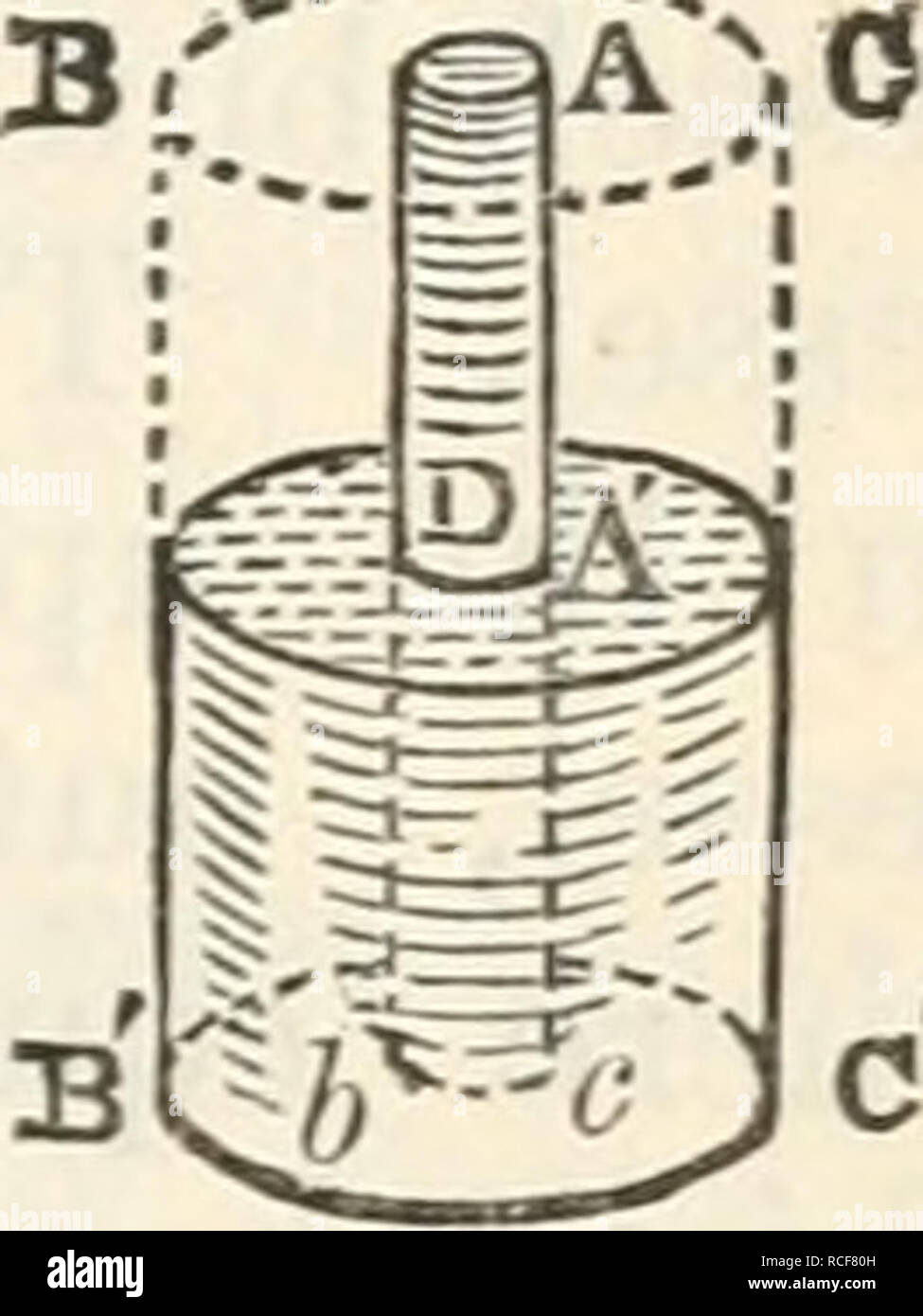 . Die Elemente der physiologischen Physik: eine Übersicht über die elementaren Fakten, Prinzipien und Methoden der Physik und ihre Anwendungen in der Physiologie. Biophysik. Kap. xix.] Hydrostatisches Paradoxon. 191 durch einen Hebel gearbeitet. Natürlich ist die Aufwärtsbewegung der Presse entsprechend langsam. Es ergibt sich weiter aus dem Prinzip von Pascal, der Druck auf den Boden eines Gefäßes ausgeübt nach Umfang der Oberfläche von der Unterseite des Schiffes abhängt, und die Höhe der Flüssigkeitssäule, die es unterstützt. Also, lassen Sie AB "C" (Abb. 94) ein Glas Schiff mit dem u-förmigen Teil AA', und es werden lassen Fil Stockfoto