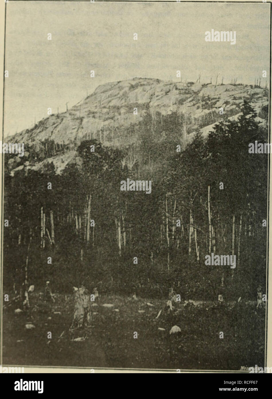 . Die Waldungen von Nordamerika: your Holzarten, deren Anbaufähigkeit und forstlicher Werth für Europa im allgemeinen und Deutschland insbesonders. / Im Aufträge des Kgl. Bayerischen Staatsministeriums der Finanzen unternommenen Reisen und Studien. Die Wälder und die Forstwirtschaft; Bäume; Wald. 124-fn-ti--^ bracht, dass in den Adirondacks ganze Züge von Bergen und der iteau verbessert, das heisst verödet wurden; Kohlensäiilen. imrcU j V..,,,. Tu liroiitluckii (ICU A'". Bitte beachten Sie, dass diese Bilder aus gescannten Seite Bilder, die digital für die Lesbarkeit erhöht worden sein können extrahiert werden - Colora Stockfoto