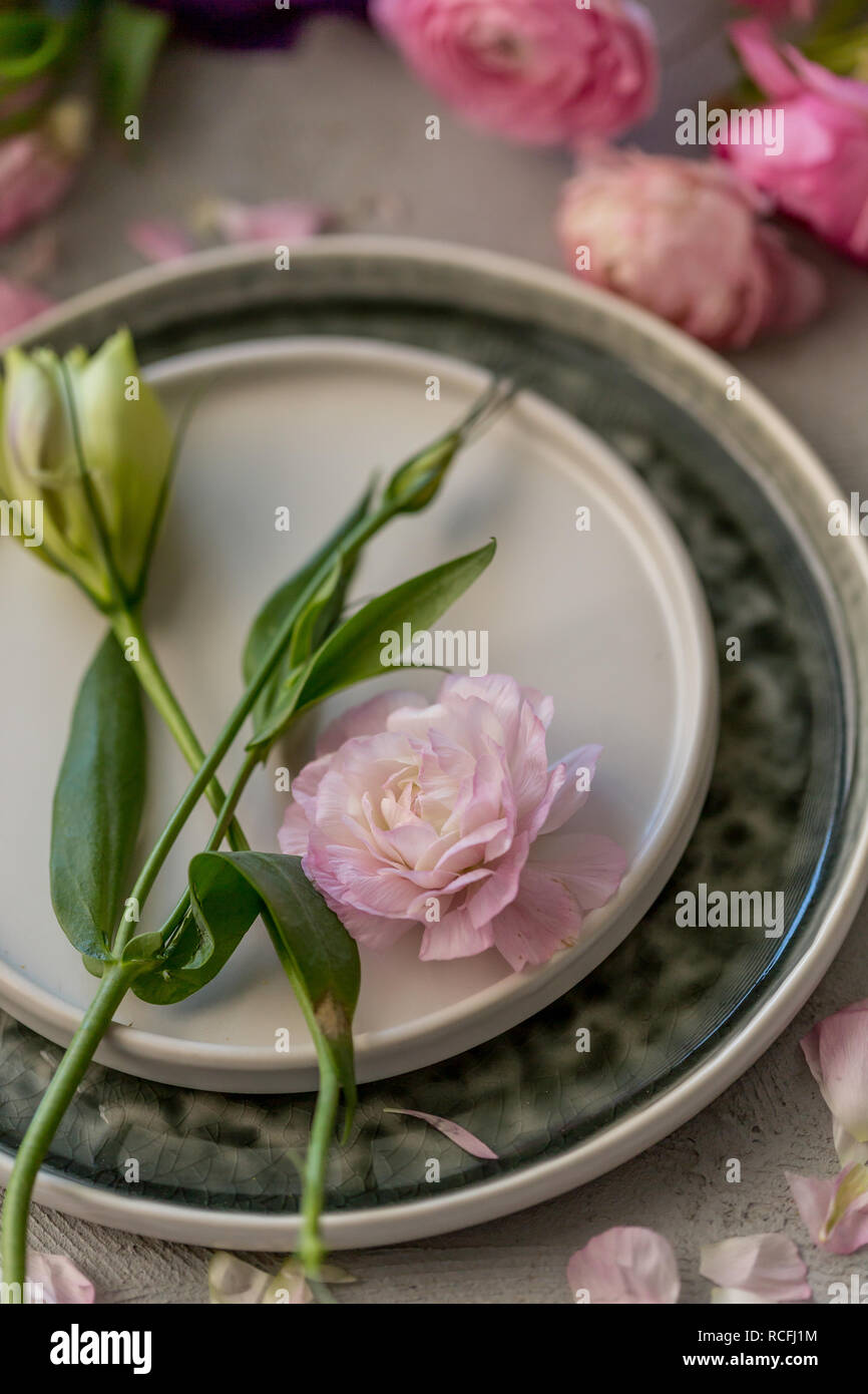 Frühjahr Tabelle arrrangement mit rosa Ranunkeln in Weiß und Grau, Steinzeug platziert Stockfoto