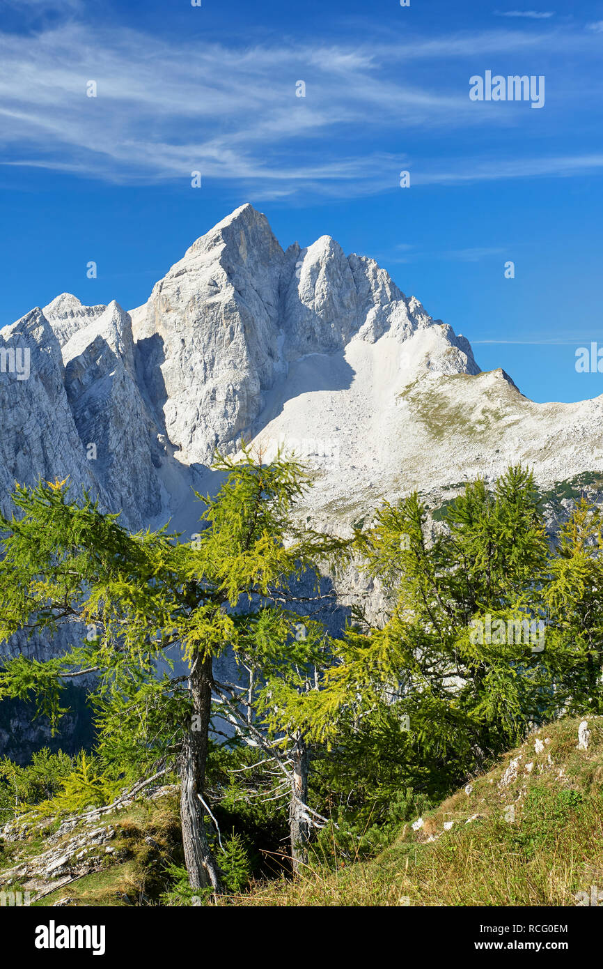 Blick auf den Jalovec aus Slemenova Spica in den Julischen Alpen in Slowenien. Stockfoto