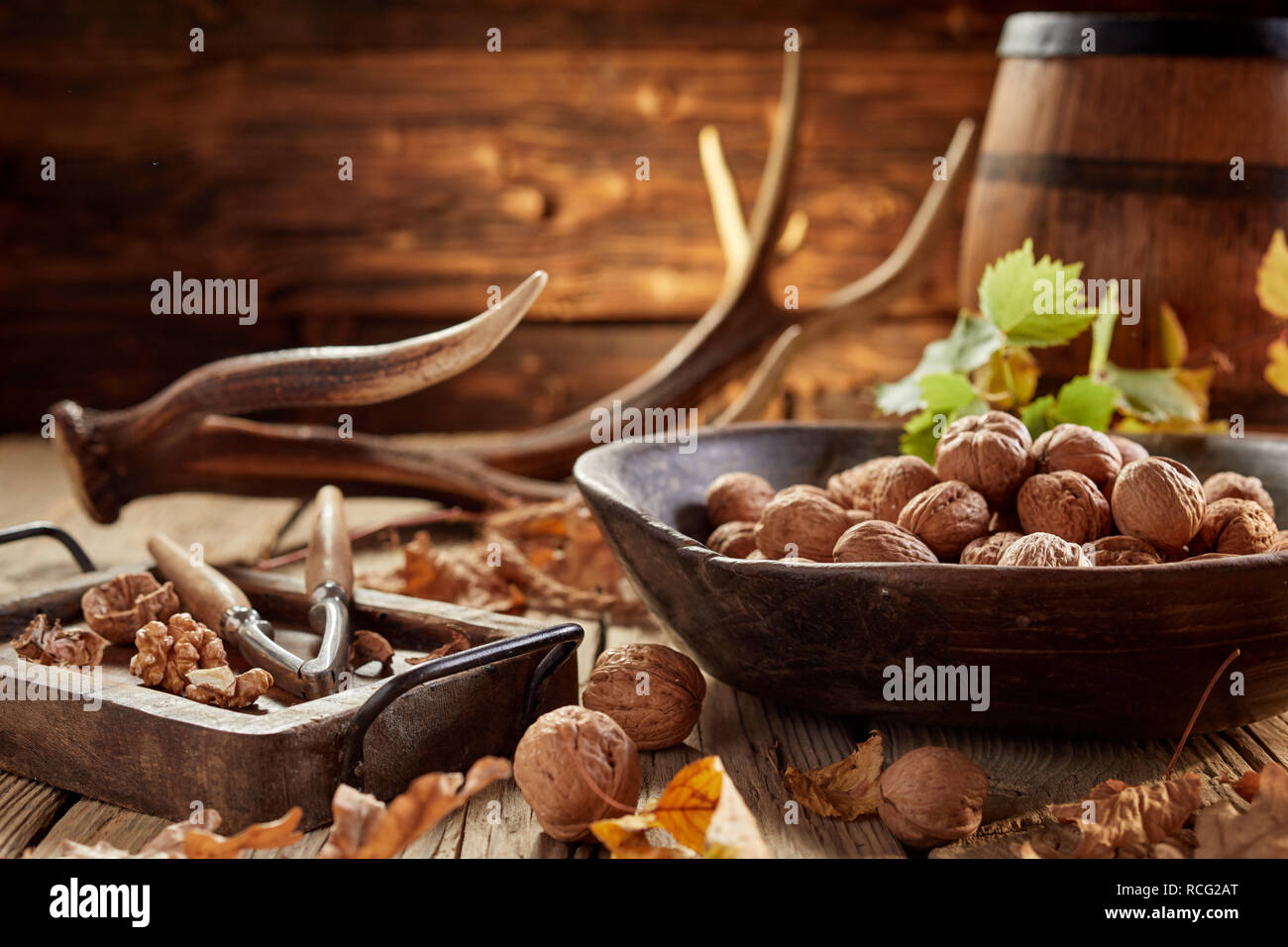 Stapel der Walnüsse in der Schale und Mutter Cracker in Nahaufnahme auf hölzernen Tisch in rustikales Haus mit Geweih und alten Holzfass im Hintergrund Stockfoto