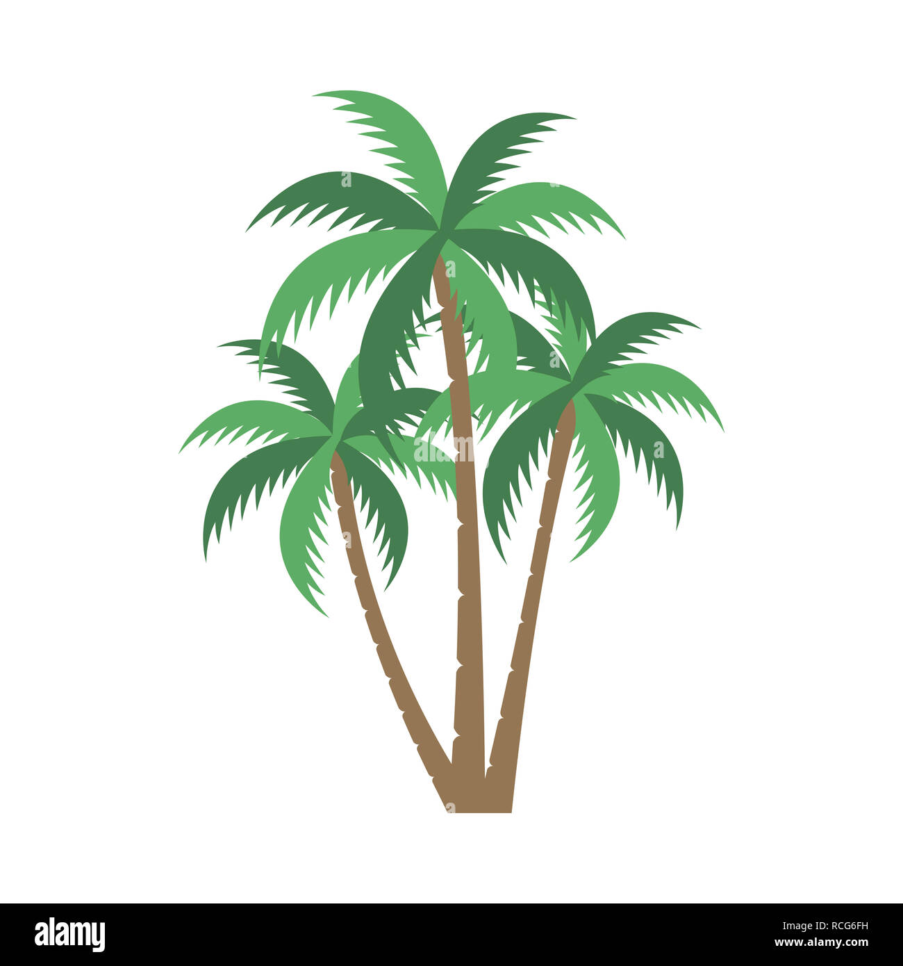 Eine Palme Vektor Einrichten Stockfotografie Alamy
