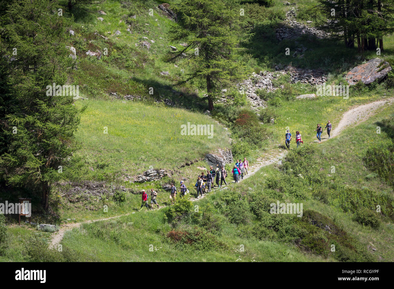 Wanderungen im Parco Nazionale del Gran Paradiso oder Nationalpark Gran ...