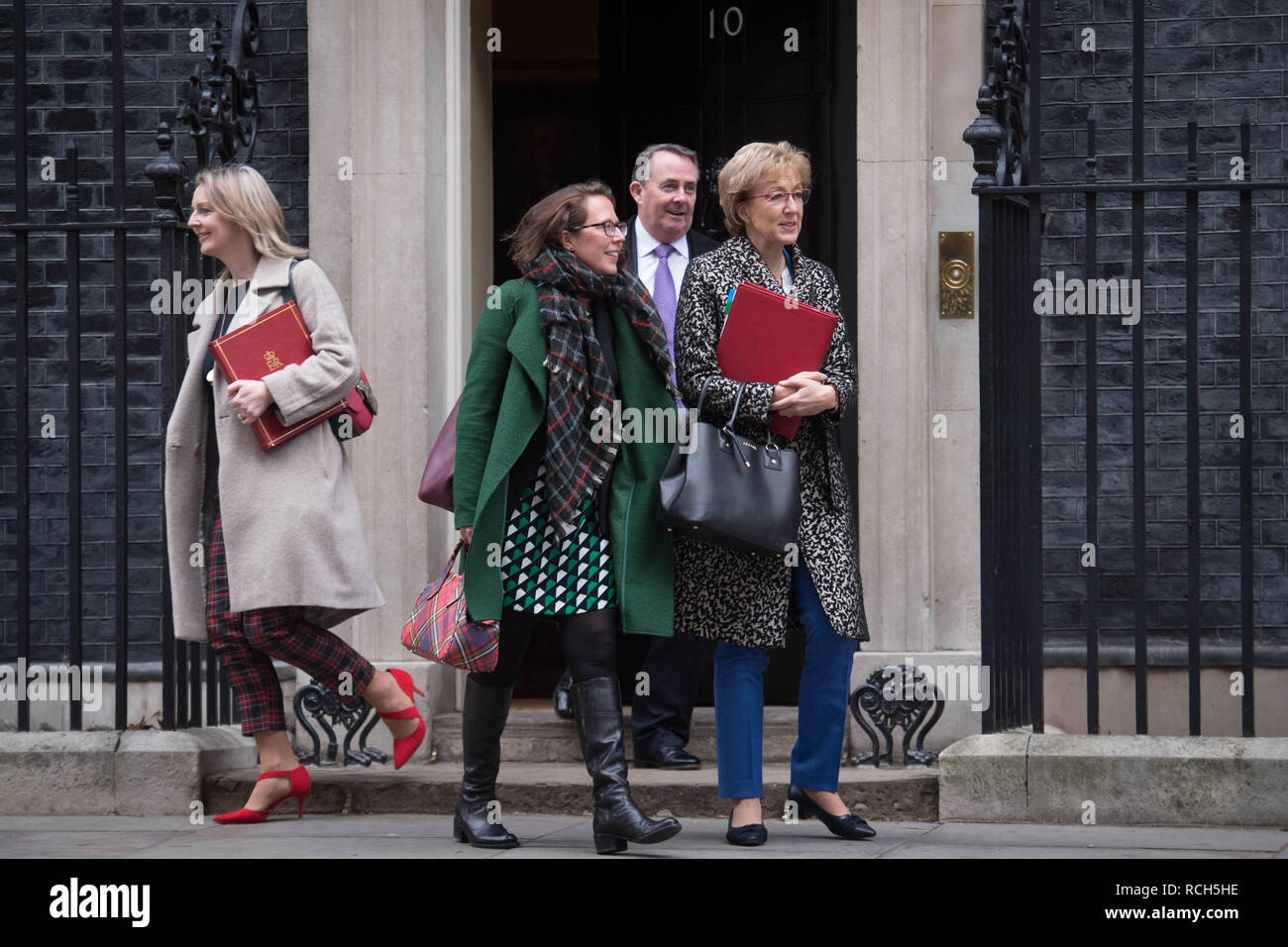 (Von links nach rechts) Chief Secretary, Schatzamt Liz Truss, Führer des Oberhauses Baroness Evans, den internationalen Handel Sekretär Liam Fox und Führer des Unterhauses Andrea Leadsom, 10 Downing Street, London, nach einer Kabinettssitzung vor dem Unterhaus Abstimmung über des Ministerpräsidenten Brexit beschäftigen. Stockfoto