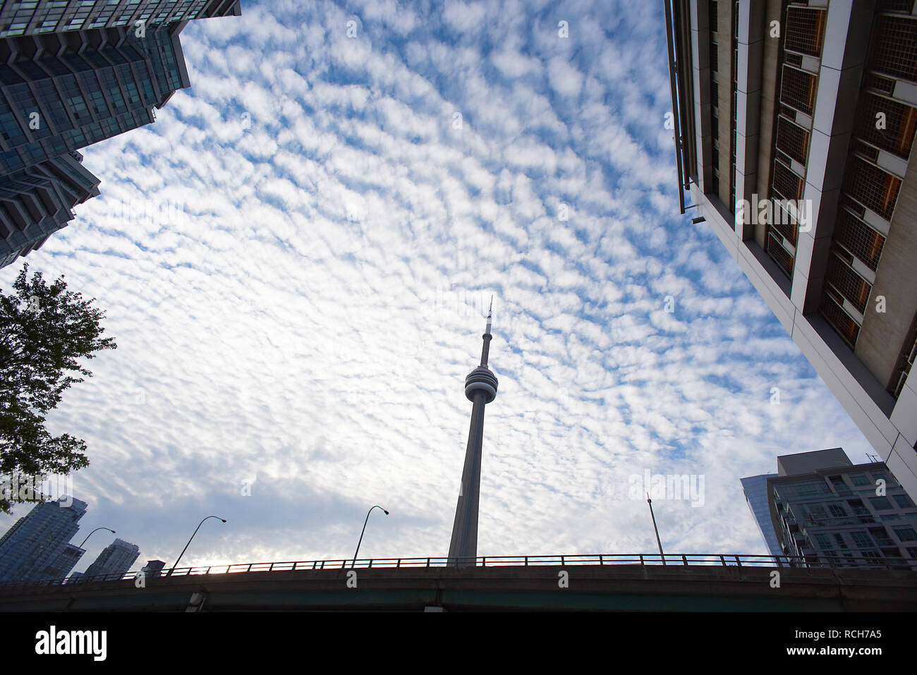 Low Angle Shot der erstaunlichen CN Tower in der Innenstadt von Toronto, Kanada, ein Wahrzeichen der Stadt Stockfoto