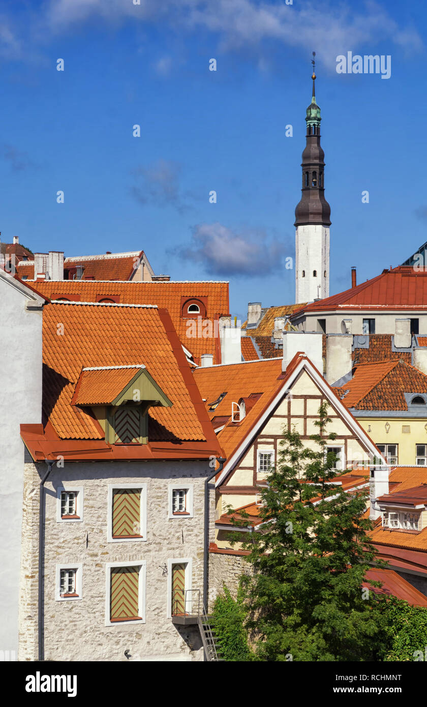 Die roten Dächer der Altstadt von Tallinn in sonnigen Sommertag. Tallin ist die Hauptstadt und größte Stadt von Estland. Die Altstadt von Tallinn ist eine der Besten Stockfoto