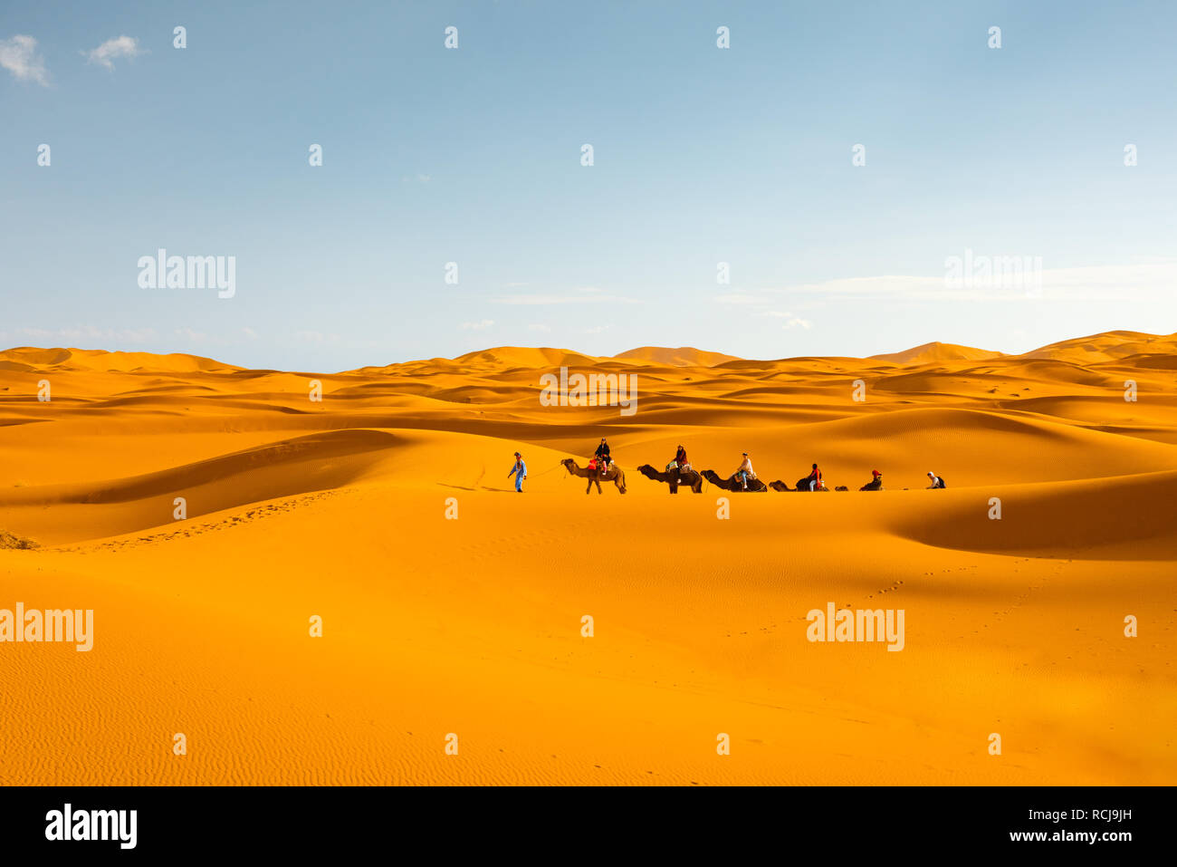 Touristische Kamelkarawane in der Sahara, Marokko Merzouga Stockfoto
