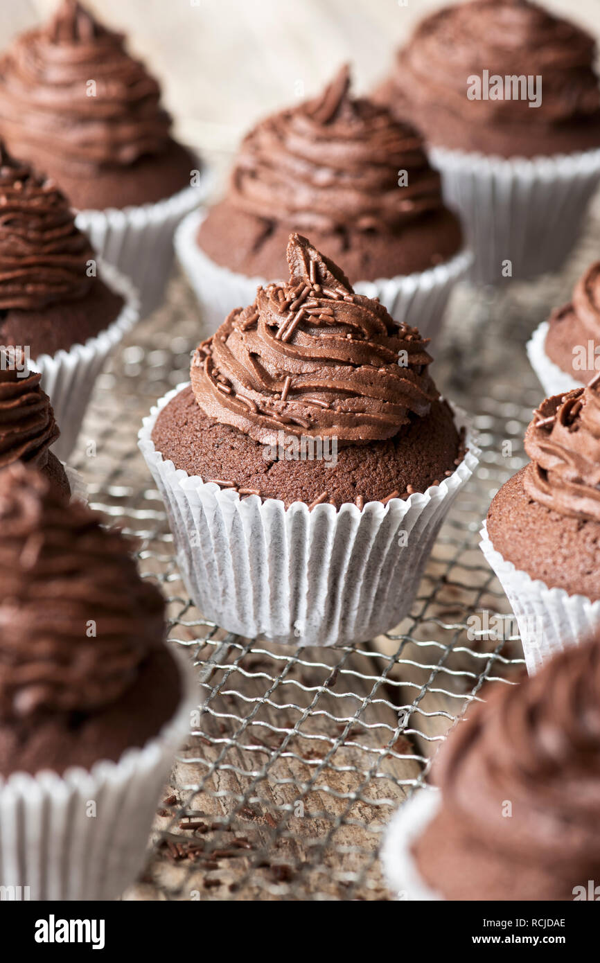 Hausgemachte Schokolade Cupcakes Stockfoto