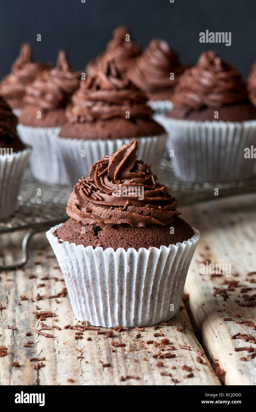 Hausgemachte Schokolade Cupcakes Stockfoto