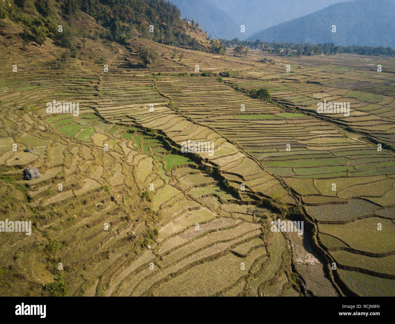 Luftaufnahme der ländlichen Landschaft im Zentrum von Nepal. Reisfelder und Hügel im Winter. Stockfoto