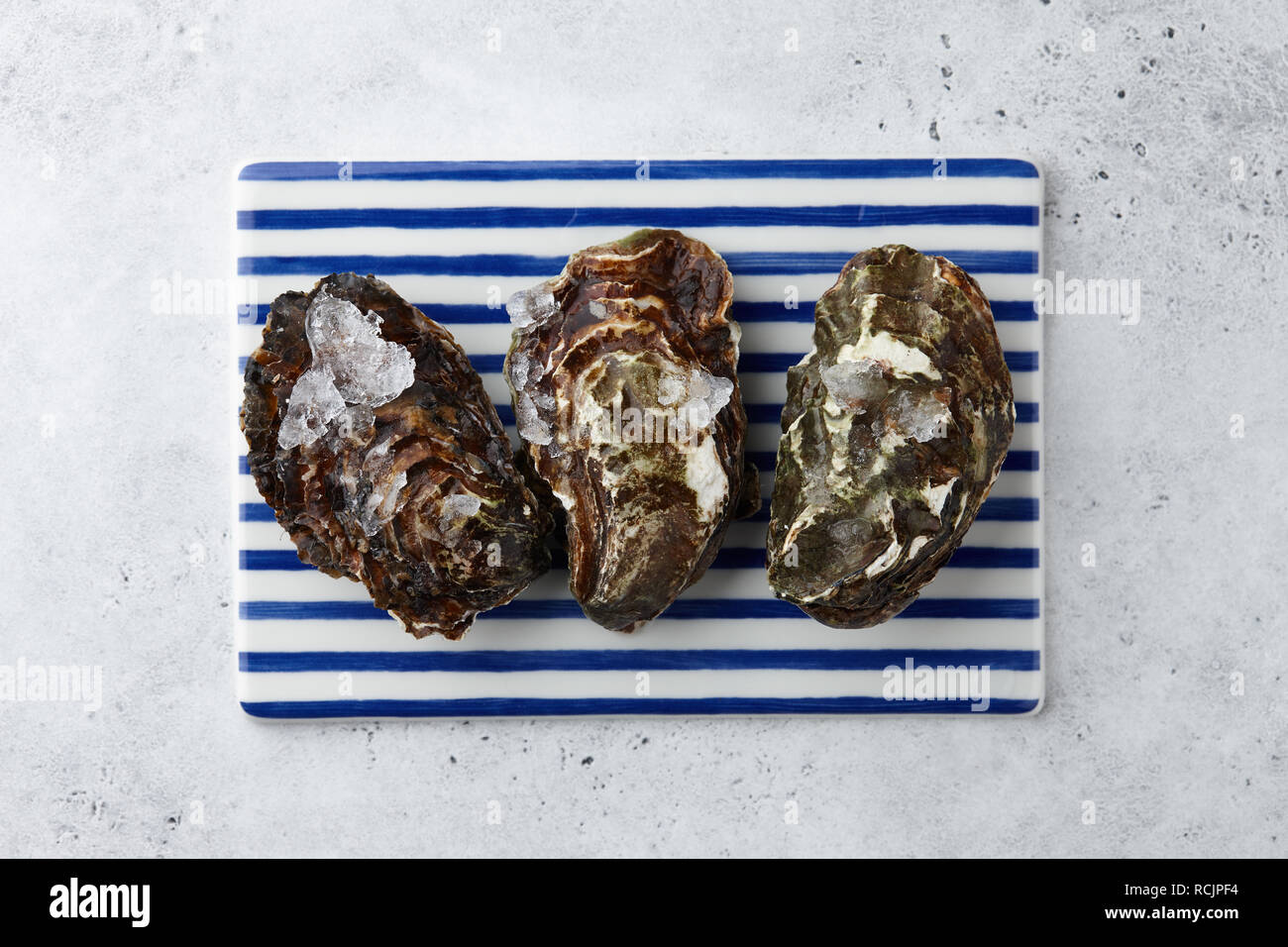 Frische geschlossen Austernschalen mit Eis auf blau-weiß gestreifte rechteckige Platte am weißen Stein Hintergrund, Ansicht von oben Stockfoto