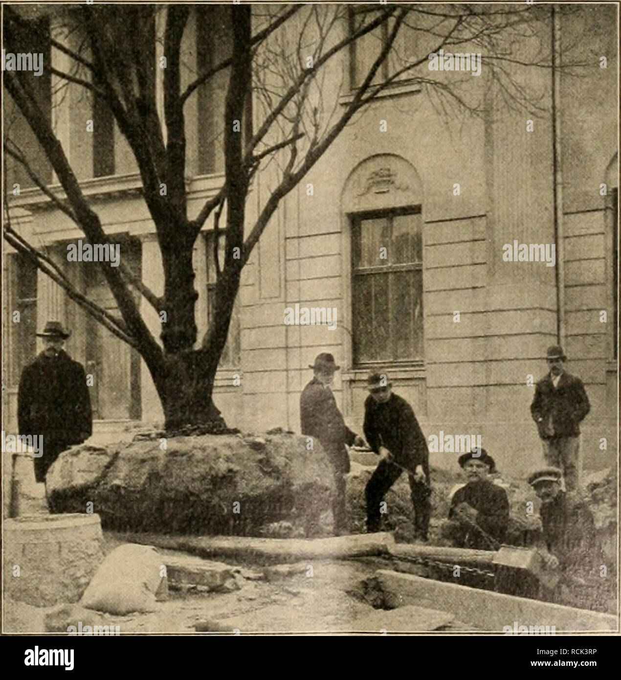 . Gartenwelt sterben. Im Garten arbeiten. XVIII, 10 Gartenwelt sterben. 139 Pflanzweise durchzufÃ¼hren praktisch Wärtsilä re, hier Wert legt. KI. 45 w. 582 868. BlumenstÃ¼Tze. Ilse Herrlich, geb. Schreiber Weiter bespricht er den Wert der BodenernÃ¤hrung und DÃ¼ngung, Altena ein. E. in Angern. 28. 11. 13. daran anschlieÃend den Nutz- und sonstigen Pflanzenbau. Im Kl. 45 w. 583 383. Treibhaus zur Wärmebehandlung von Pflanzen letzten Kapitel werdener Gartenkunst und der handelsgÃ¤rtnerische mit KohlensÃ¤ure oder einem KohlensÃ¤ureluftgemenge. Dr. Erich Betrieb in Human Wechselbeziehungen geschildert, woran sich - Reinau, Stockfoto