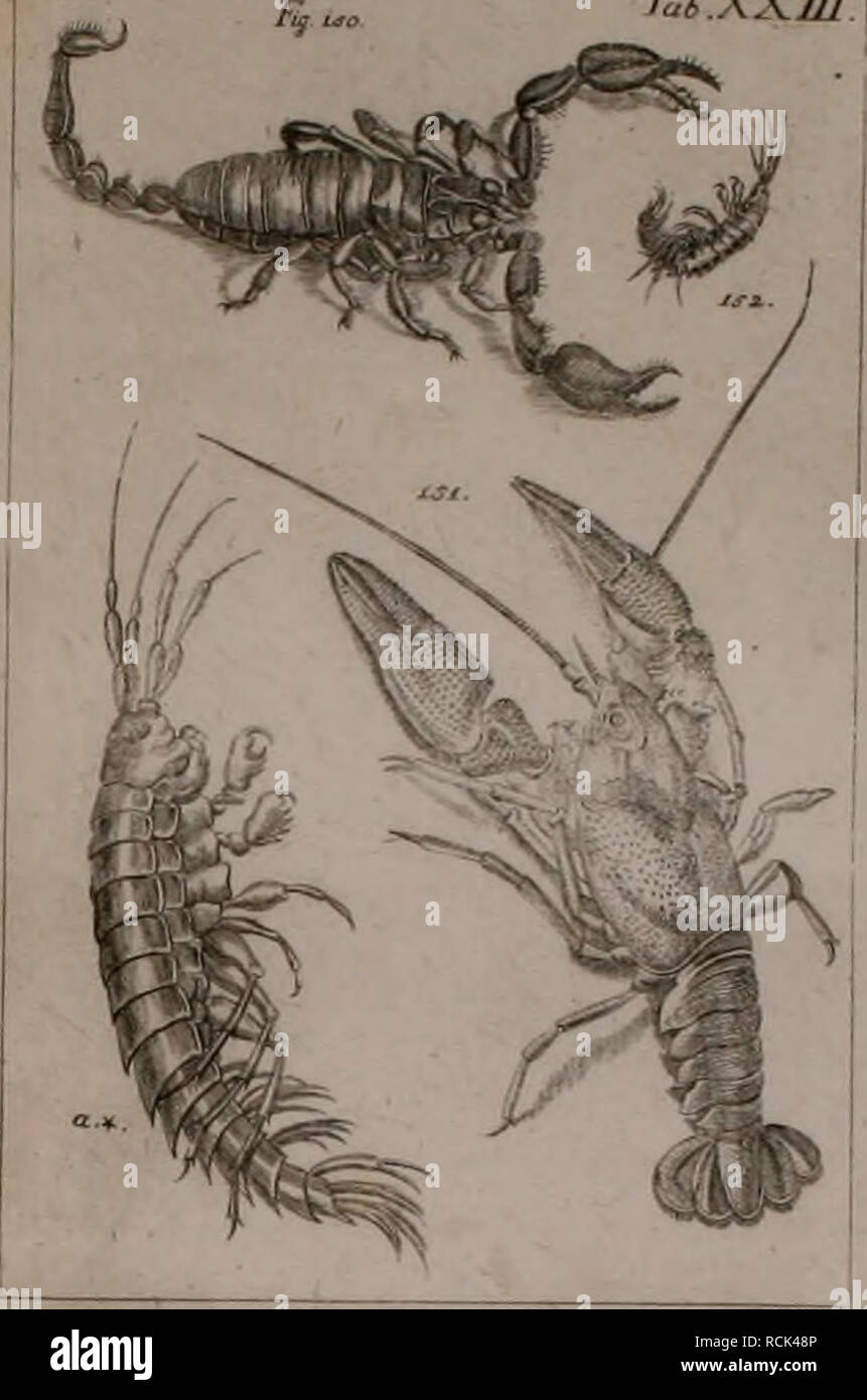 . Die Kennzeichen der Kämpfen: / Anleitung des Königl. Schwed. Ritters und Leibarzts Karl von Linné, durch XXIV Kupfertafeln erläutert und mit derselben natürlichen / begleitet. Insekten. VJ/. APJTRA Taixxm. Bitte beachten Sie, dass diese Bilder sind von der gescannten Seite Bilder, die digital für die Lesbarkeit verbessert haben mögen - Färbung und Aussehen dieser Abbildungen können nicht perfekt dem Original ähneln. extrahiert. Sulzer, J. H. (Johann Heinrich), 1735-1813; Gessner, Johannes, 1709-1790; Linné, Carl-von, 1707-1778; Schellenberg, Johann Rudolf, 1740-1806, krank. Zürich: Bey Stockfoto