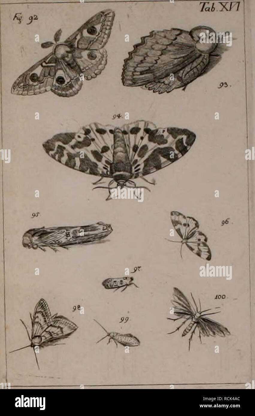 . Die Kennzeichen der Kämpfen: / Anleitung des Königl. Schwed. Ritters und Leibarzts Karl von Linné, durch XXIV Kupfertafeln erläutert und mit derselben natürlichen / begleitet. Insekten. mi £. P[DOPrEEA. Bitte beachten Sie, dass diese Bilder sind von der gescannten Seite Bilder, die digital für die Lesbarkeit verbessert haben mögen - Färbung und Aussehen dieser Abbildungen können nicht perfekt dem Original ähneln. extrahiert. Sulzer, J. H. (Johann Heinrich), 1735-1813; Gessner, Johannes, 1709-1790; Linné, Carl-von, 1707-1778; Schellenberg, Johann Rudolf, 1740-1806, krank. Zürich: Bey Heid Stockfoto