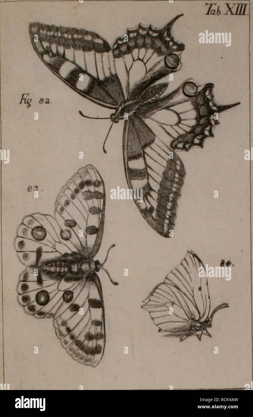 . Die Kennzeichen der Kämpfen: / Anleitung des Königl. Schwed. Ritters und Leibarzts Karl von Linné, durch XXIV Kupfertafeln erläutert und mit derselben natürlichen / begleitet. Insekten. m LEPIDOPTEBÄ. yxs^ Bmfir. Bitte beachten Sie, dass diese Bilder sind von der gescannten Seite Bilder, die digital für die Lesbarkeit verbessert haben mögen - Färbung und Aussehen dieser Abbildungen können nicht perfekt dem Original ähneln. extrahiert. Sulzer, J. H. (Johann Heinrich), 1735-1813; Gessner, Johannes, 1709-1790; Linné, Carl-von, 1707-1778; Schellenberg, Johann Rudolf, 1740-1806, krank. Zürich Stockfoto