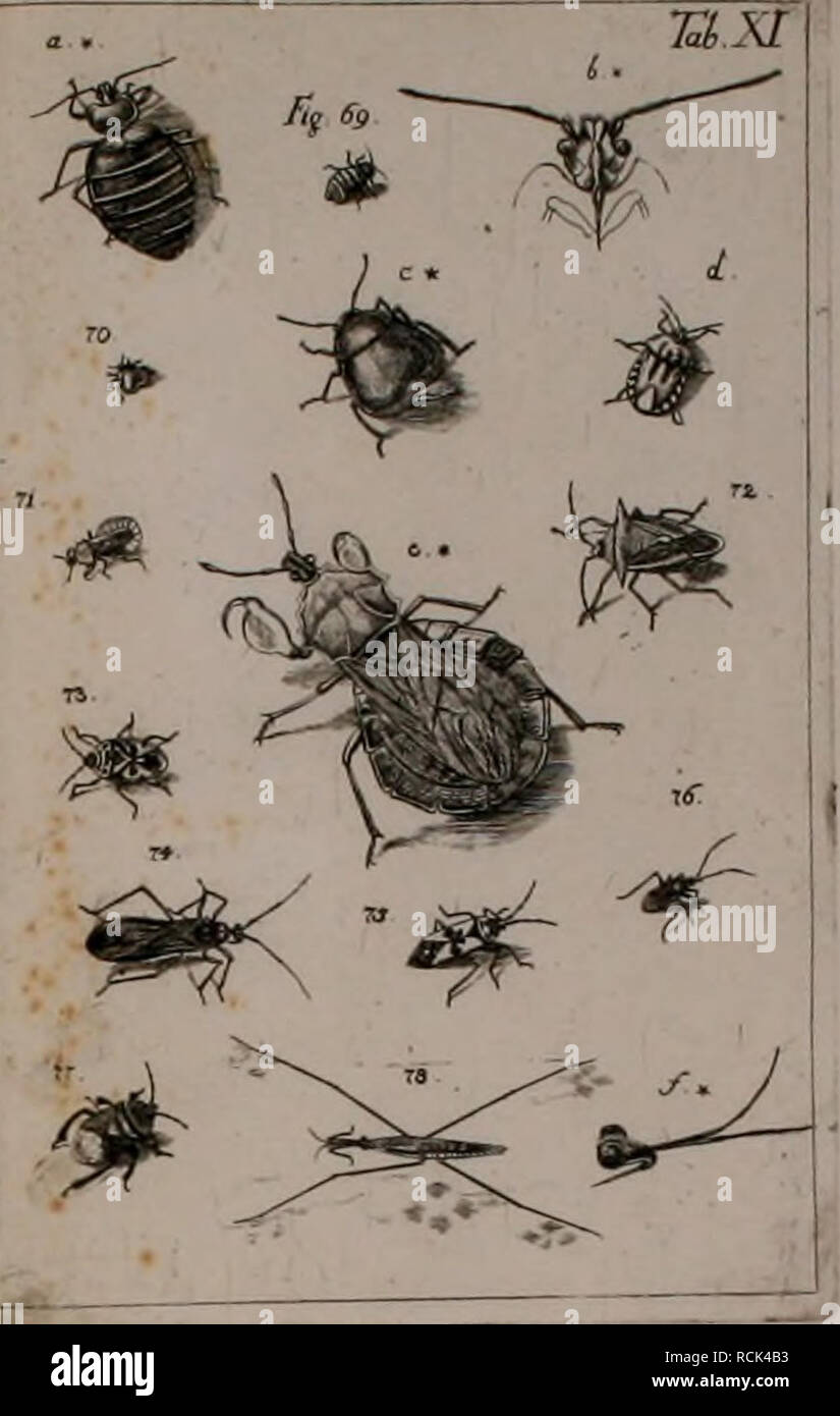. Die Kennzeichen der Kämpfen: / Anleitung des Königl. Schwed. Ritters und Leibarzts Karl von Linné, durch XXIV Kupfertafeln erläutert und mit derselben natürlichen / begleitet. Insekten. U HEMlPTEKi. Bitte beachten Sie, dass diese Bilder sind von der gescannten Seite Bilder, die digital für die Lesbarkeit verbessert haben mögen - Färbung und Aussehen dieser Abbildungen können nicht perfekt dem Original ähneln. extrahiert. Sulzer, J. H. (Johann Heinrich), 1735-1813; Gessner, Johannes, 1709-1790; Linné, Carl-von, 1707-1778; Schellenberg, Johann Rudolf, 1740-1806, krank. Zürich: Bey Heideg Stockfoto