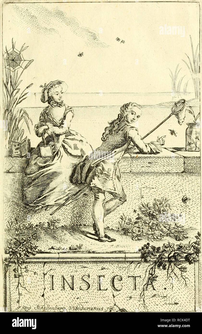 . Die Kennzeichen der Kämpfen: / Anleitung des Königl. Schwed. Ritters und Leibarzts Karl von Linné, durch XXIV Kupfertafeln erläutert und mit derselben natürlichen / begleitet. Insekten. . Bitte beachten Sie, dass diese Bilder sind von der gescannten Seite Bilder, die digital für die Lesbarkeit verbessert haben mögen - Färbung und Aussehen dieser Abbildungen können nicht perfekt dem Original ähneln. extrahiert. Sulzer, J. H. (Johann Heinrich), 1735-1813; Gessner, Johannes, 1709-1790; Linné, Carl-von, 1707-1778; Schellenberg, Johann Rudolf, 1740-1806, krank. Zürich: Bey Heidegger und Kom Stockfoto