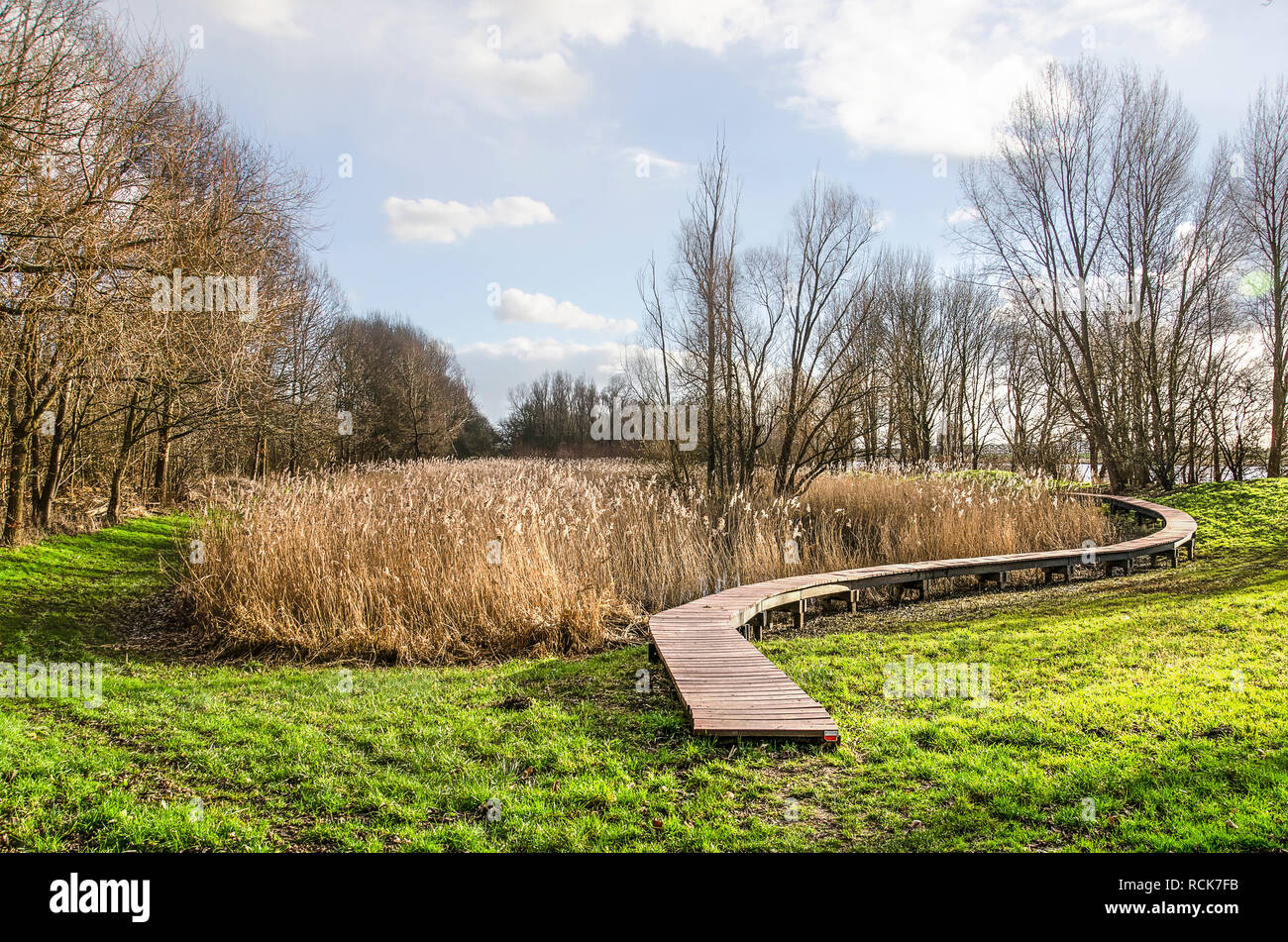 Holzbrett Brücke in einer Landschaft mit Schilf, Büsche, Bäume und Gras, gelegentlich überschwemmt, die von dem in der Nähe gelegenen Fluss Oude Maas, in dem Rotterdamer Stadtteil o Stockfoto