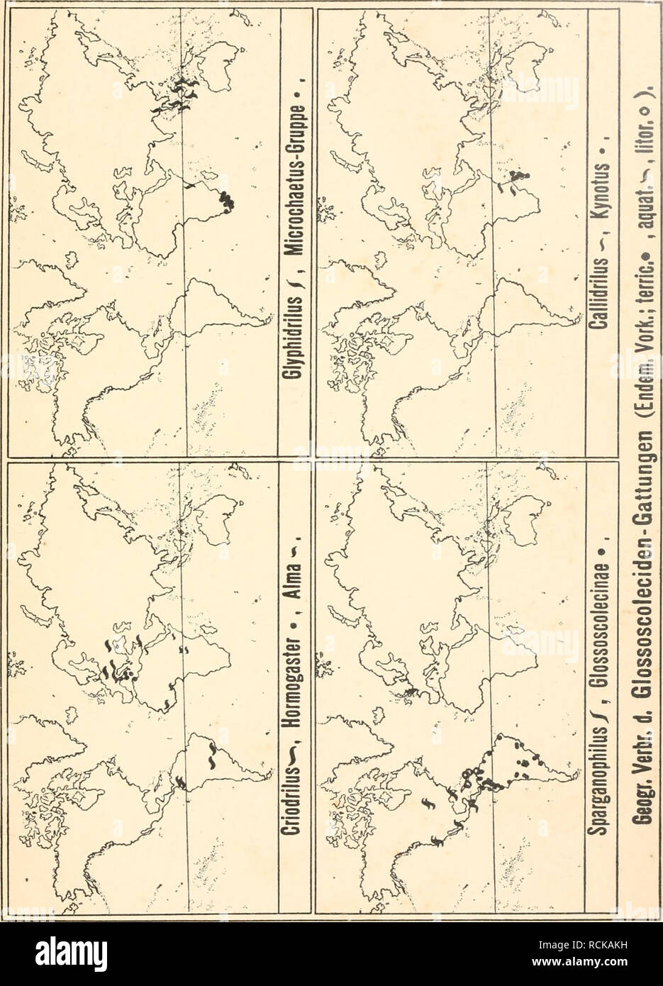 . Die geographische Verbreitung der Oligochaeten. Oligochaeta - - Geografische Verteilung. X03. Bitte beachten Sie, dass diese Bilder sind von der gescannten Seite Bilder, die digital für die Lesbarkeit verbessert haben mögen - Färbung und Aussehen dieser Abbildungen können nicht perfekt dem Original ähneln. extrahiert. Michaelsen, W. (Wilhelm), 1860-1937. Berlin: R. Friedländer Stockfoto