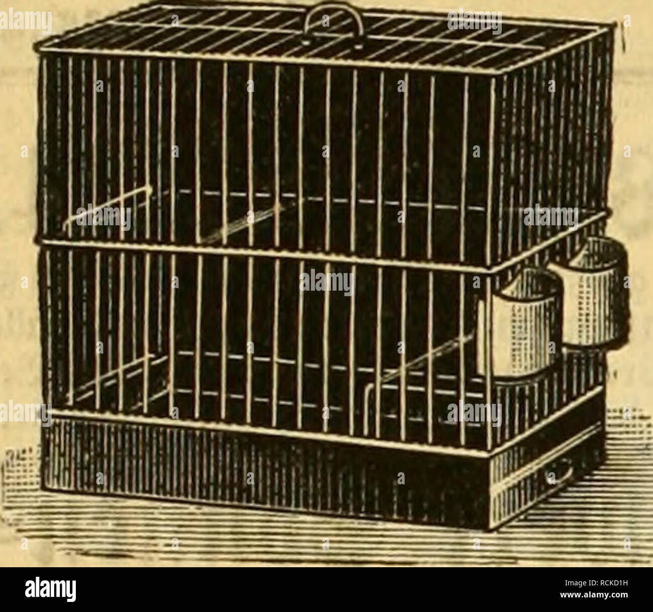 . Gefiederte Welt. Vögel. 420 55 ie gefieberte SBelt. 3"^!^ "^fÃ¶ t SSogeltieb^ abec, '^Ã¼il) tex unb = J^Ã¤nbIet. 9 lr. 39. S. Schindler, Â© erlin. "Tferftr. 172, bin Ãopptnpla^ empfiefilt feine 1891 mit ber 23 etlin golbenen SKebaitle Helengeli mirten VoielMfip aller Art Â© pejialitÃ ¤ f ÃonorlcitÂ "bauet jnit neuefter FguttcreinriifttunB, Â"Â"=^^ sinnt, mit^^Ã¤jublaie, 24 X 16 cm â¡, 22 cm!) 0 (l). ¤ $ ¤ Baía teiÃ Suljenb 18 Ji. tr^ reiÃ ¤ lifte foftcnloS uuD {loftfrei. "M[985]. Bei uns erschien: Der S mm oder die philomela AUUGAl (Sylvia) eilt besoDilerer BeriiclcsiclitipiiE Waden Gt Stockfoto