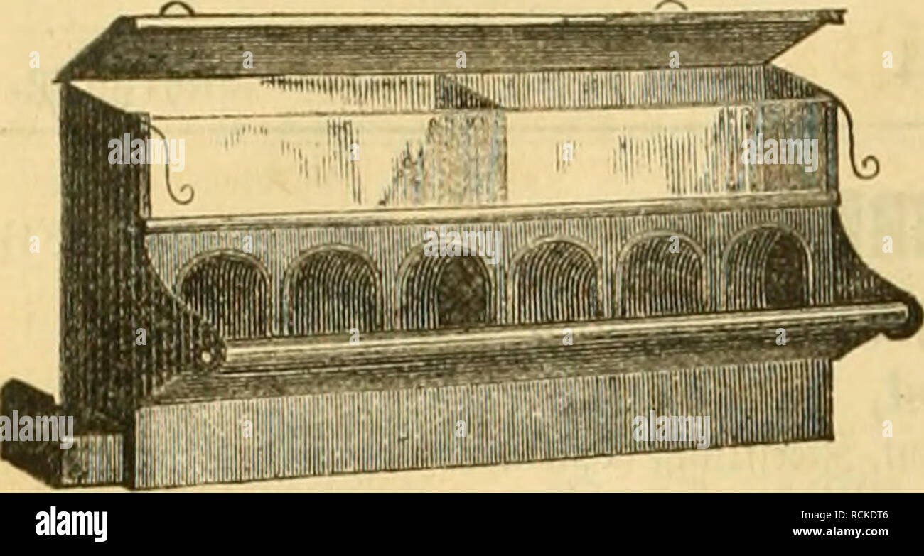 . Gefiederte Welt. Vögel. 182 5) ic luiifbertc ilLUlt. S" - "Ich" Wcift tut 3 Süflelliebl) abet, ütbtct imb = $) äiib (er. 3 jr. 18. Tillen SÖDflcIfrcunbcn fann lä) aU äu^ Erft ptaftifd) meineSutterfOMitfltunß emVftWcii. 2 4 6 8 10 12 14 IGgüdj äStct. l, l, r. o, 2, 2,50, 3, 3,50, 4, 4,50 M. 9 cuc 2: Zinn! SSefä^e für t&gt; eül) net. C.B. Hachnel, 5 JabIetmeiftcr [8S91 © erlin, Sinbenftr. 67. Bitte beachten Sie, dass diese Bilder sind von der gescannten Seite Bilder, die digital für die Lesbarkeit verbessert haben mögen - Färbung und Aussehen dieser Abbildungen können nicht perfekt dem Original ähneln. extrahiert. Stockfoto