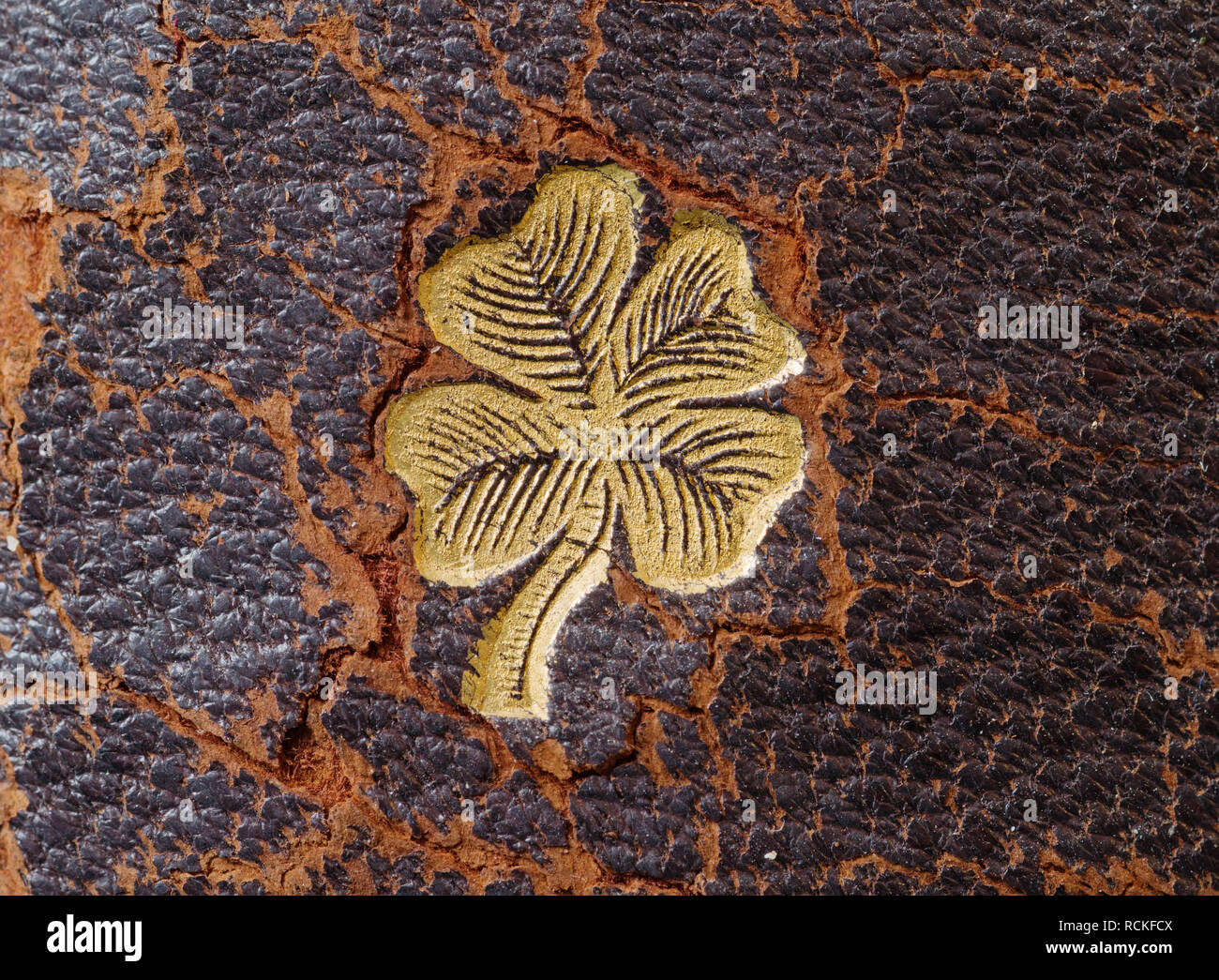 Gold vier blätterte Klee auf Distressed alte Leder eines antiken Buchrücken geprägt Stockfoto