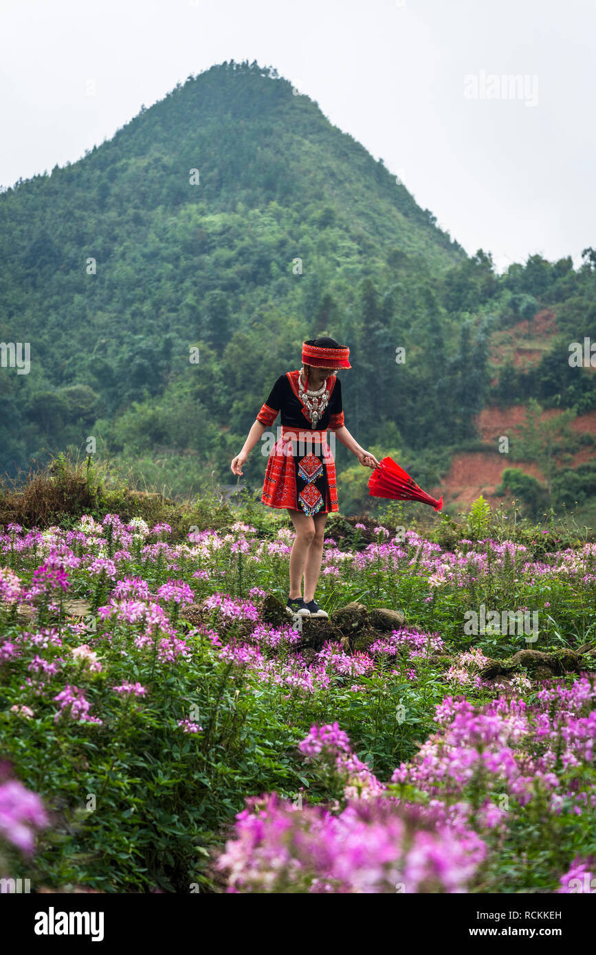 Frau in traditioneller Kleidung, Hoang Lien Son Gebirge mit bunten Blumen im Vordergrund, Cat Cat Dorf, Sa Pa, nordwestlichen Vietnam Stockfoto