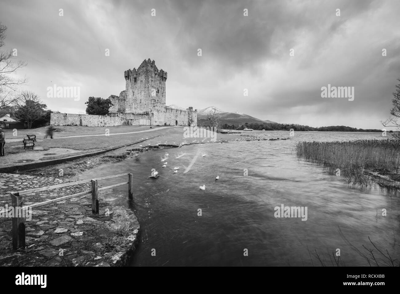 Ross Castle, Killarney, Co.Kerry, Irland Stockfoto