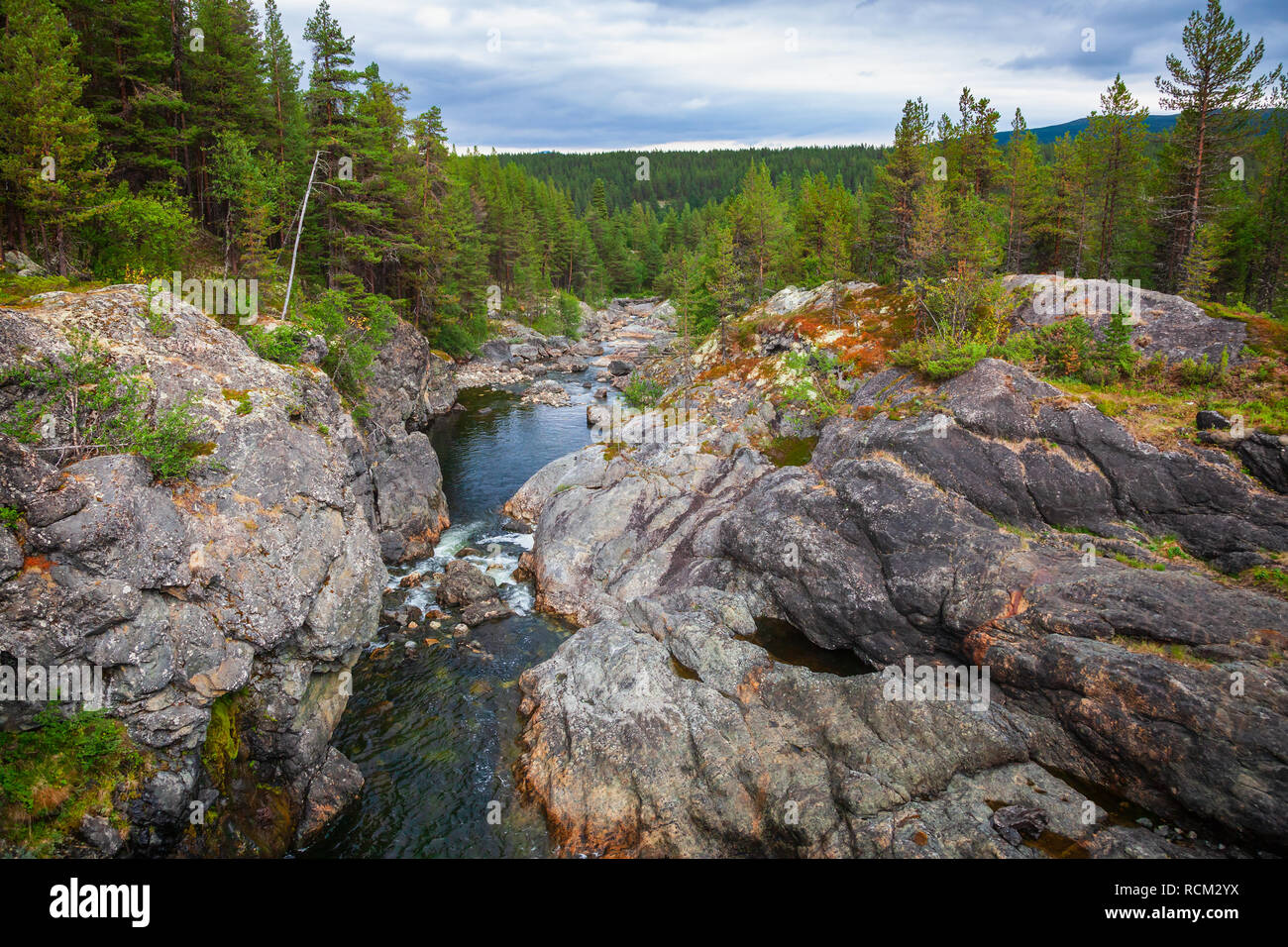 Norwegische Sommer Landschaft mit kleinen Fluss Flekka im Bezirk Oppland, Norwegen, Skandinavien Stockfoto