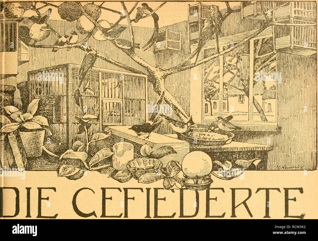 . Gefiederte Welt. Vögel. t 39. 28. September 1916. Jahrgang XLV.. Sterben die WELT CEHE VüCHENSCHRIFT FÜR-VOGELLIEBHABER. - Begründet von Dr. Karl Ruß. Herausgegeben von Karl Neunzig in Hermsdorf bei Berlin. INHALT: An der Vogeltränke. Von Rudolf Hermann. Der erlenzeisig in Freiheit und Gefangenschaft. Von Landsturmmann H. Fritzen, 1. Komp. Xiv. 34. Gottmadingen (Baden). (Schluß.) Allerlei Biologisches. Von Fritz Braun. (Schluß.) Zum Kapitel "Überwinterung exotischer Vögel im Freien". Von s. Emmeram Heindl D.S. B. Kleine Mitteilungen. - Sprechsaal. - / Und /. -Vom Vogel-m Stockfoto