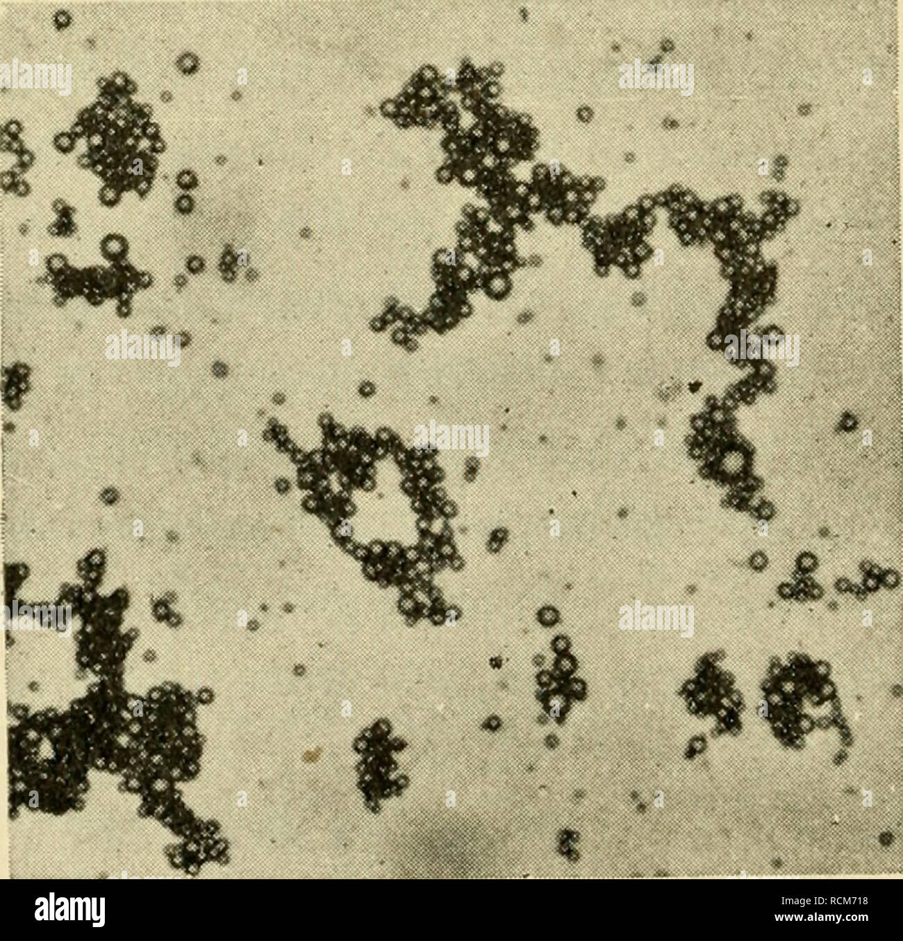 Elemente Der Milchviehhaltung Milchviehhaltung F T Lt Es A O A O Lt Vj Die Fettkugelchen Wie Unter Einem Mikroskop Wo Rahm Oder Milch Uber 140 Grad Pasteurisiert Wurde F Die Fettkugelchen